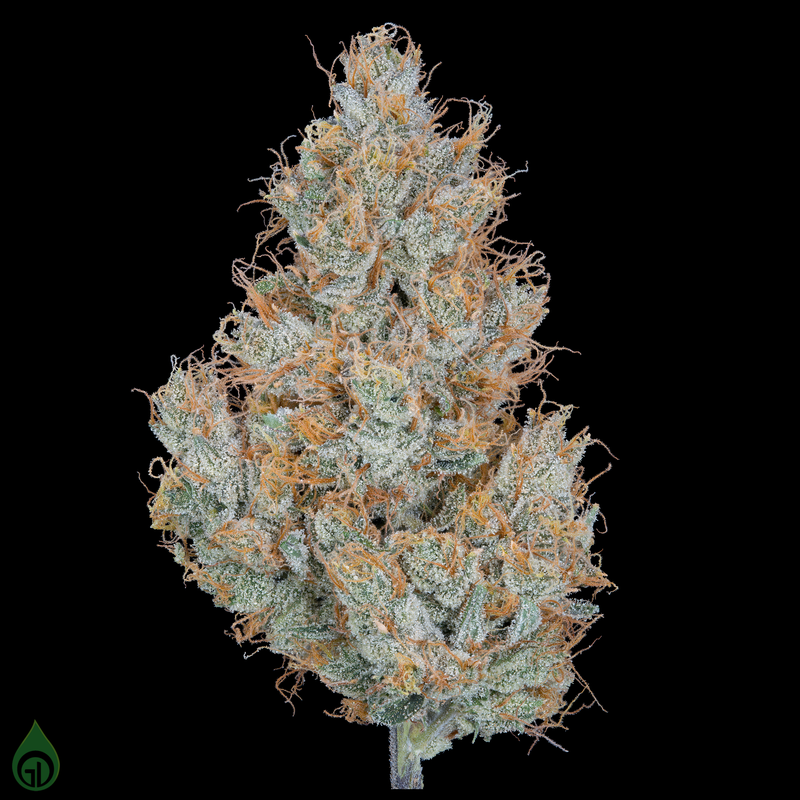 GREEN DOT LABS - LEMON BUTTER RUM - 3.5G