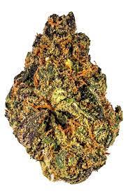 MANDARIN TEMPLE KUSH- POPCORN 1G