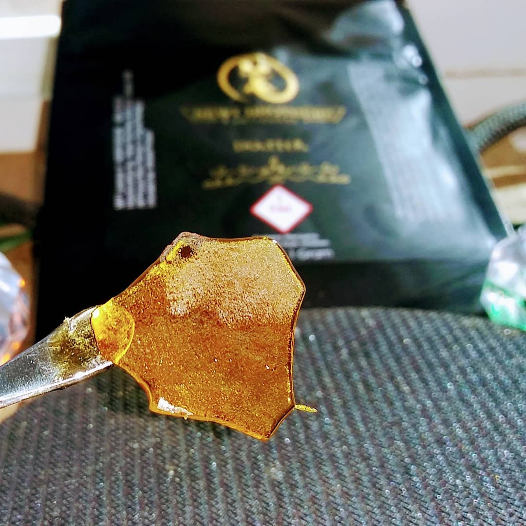 NEWT BROS - LEMON DAWG - SHATTER - 1G