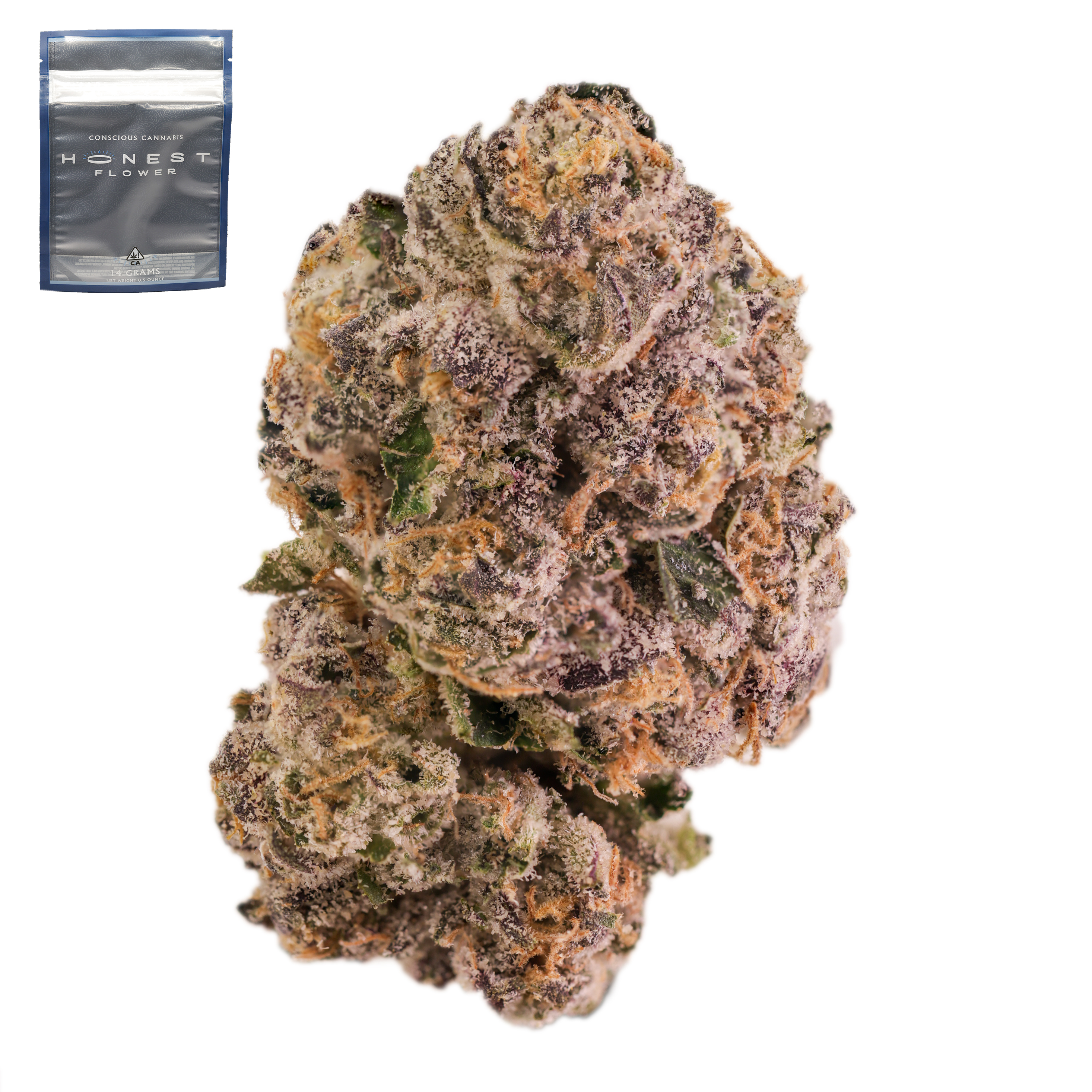 Versace - 14 g