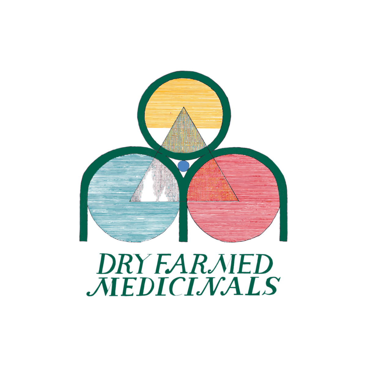 Dry farmed medicinals - Morning Champ - 28 g Main Image