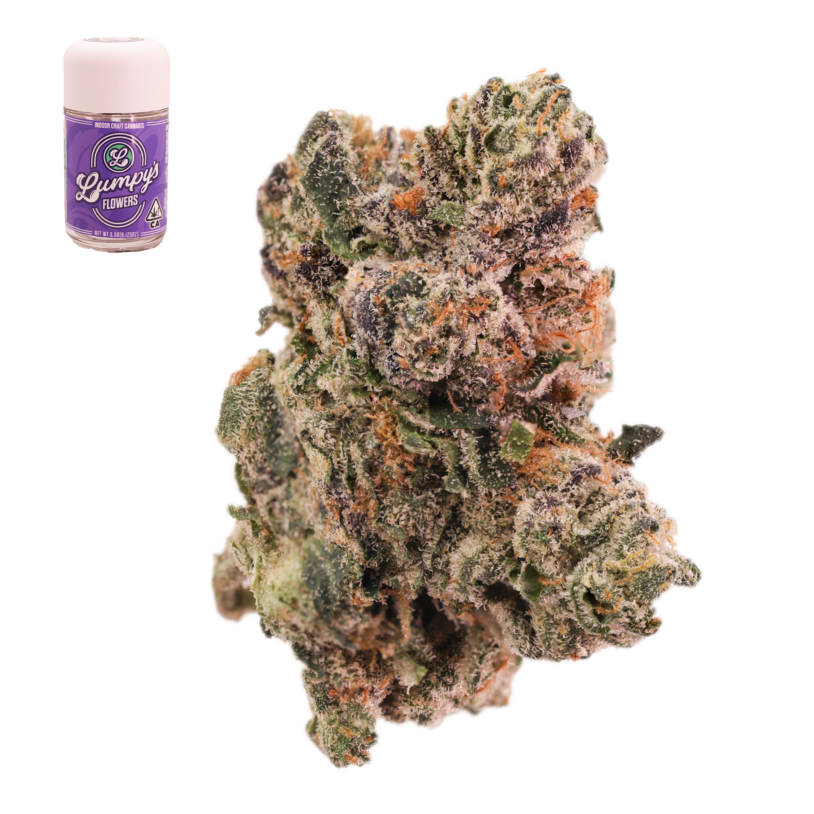Morello Sorbet - 3.5 g