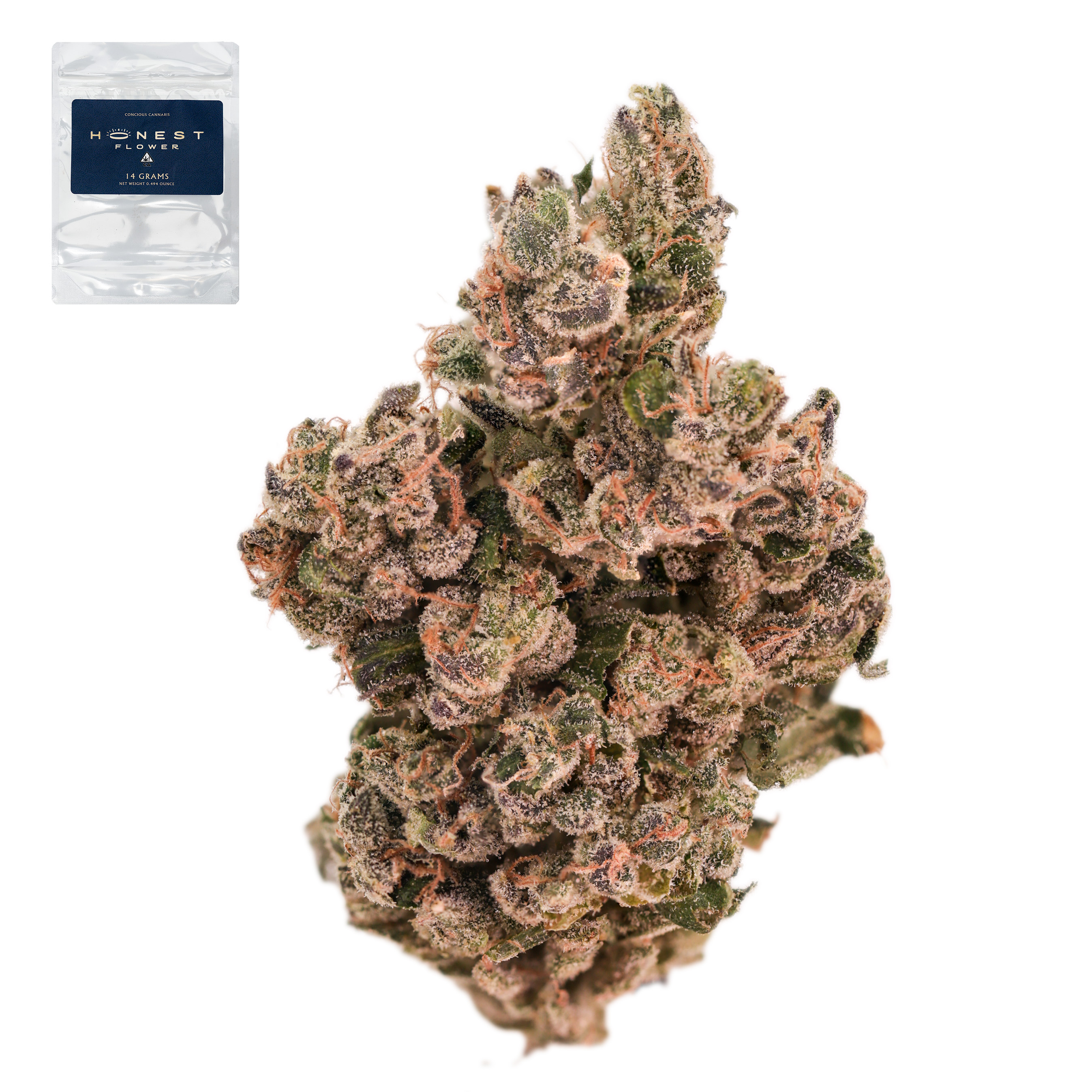 Indiana Headband - 14 g