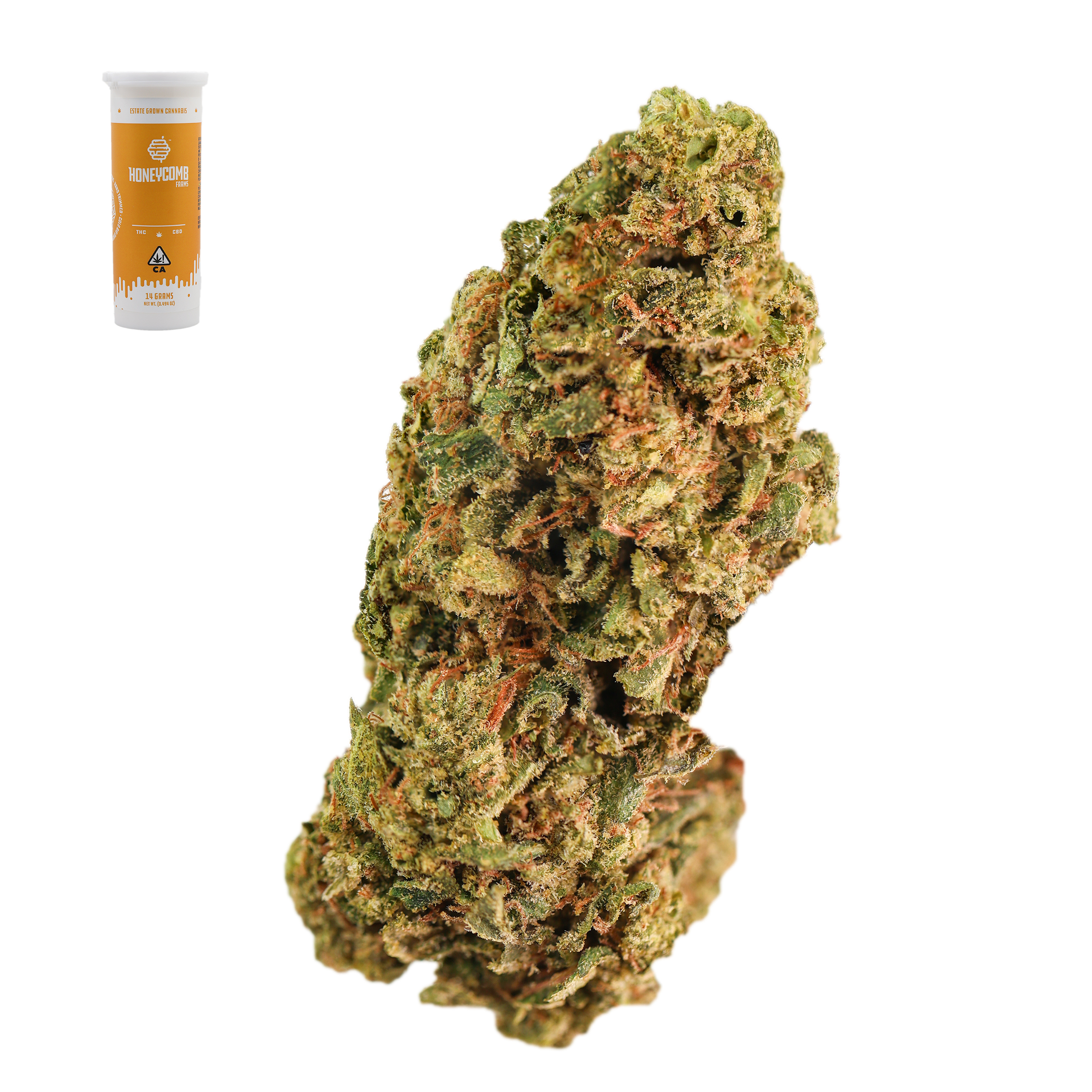 LEMON TREE X GELATO #41 14G