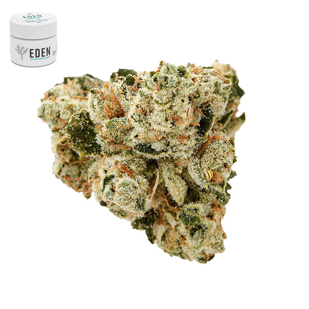 KING LOUIS XIII OG