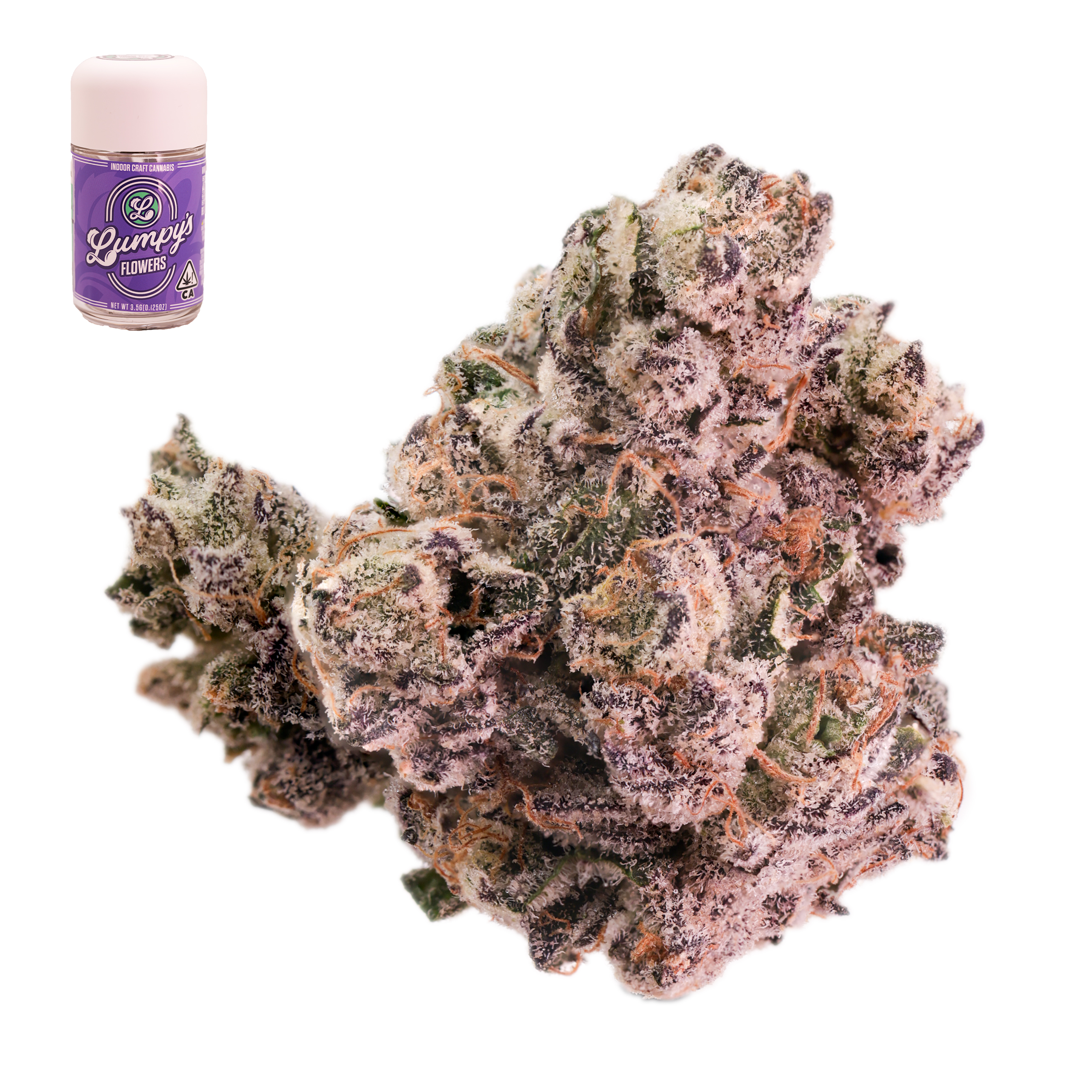 Lumpy's flowers - POP ROX Main Image