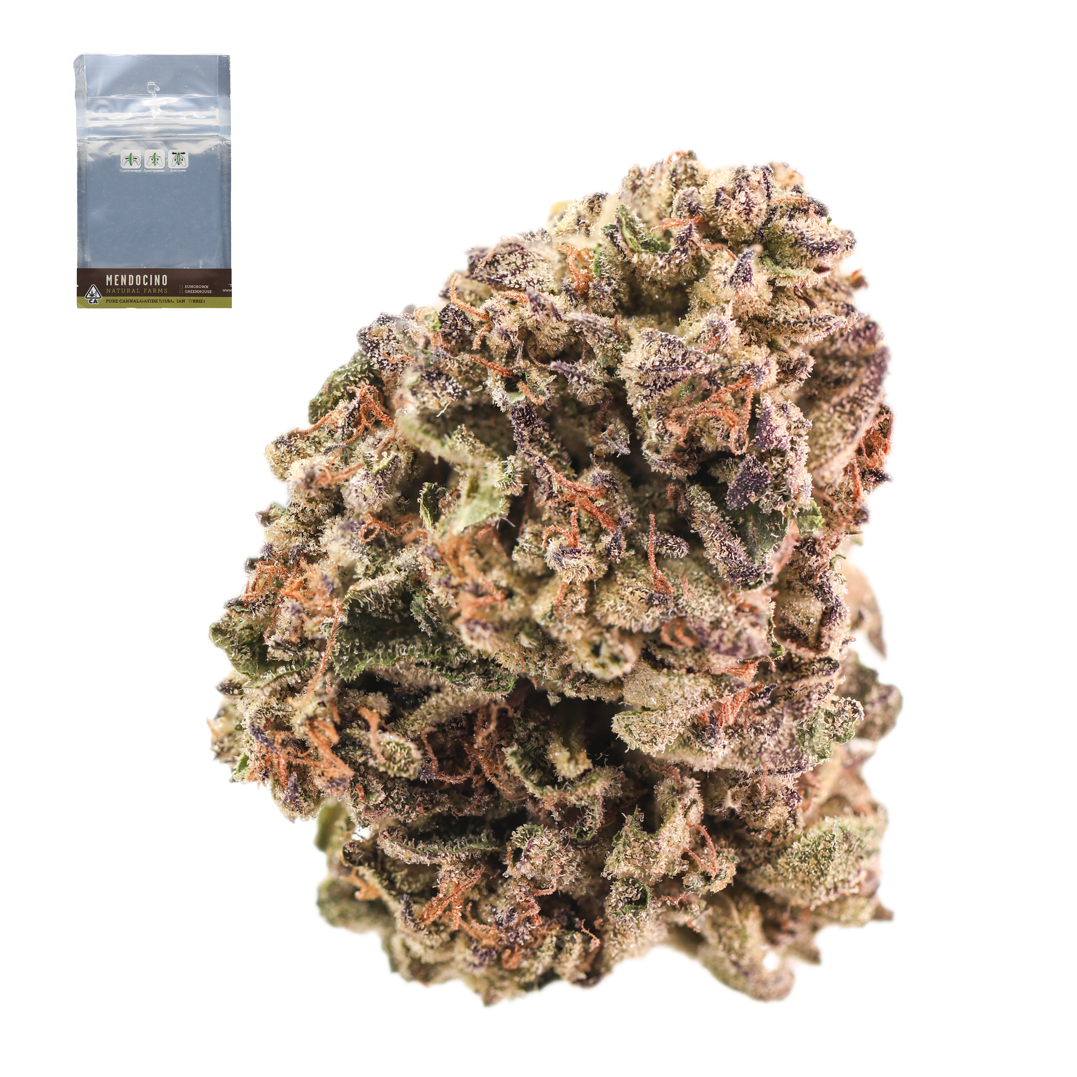 PURPLE ICC