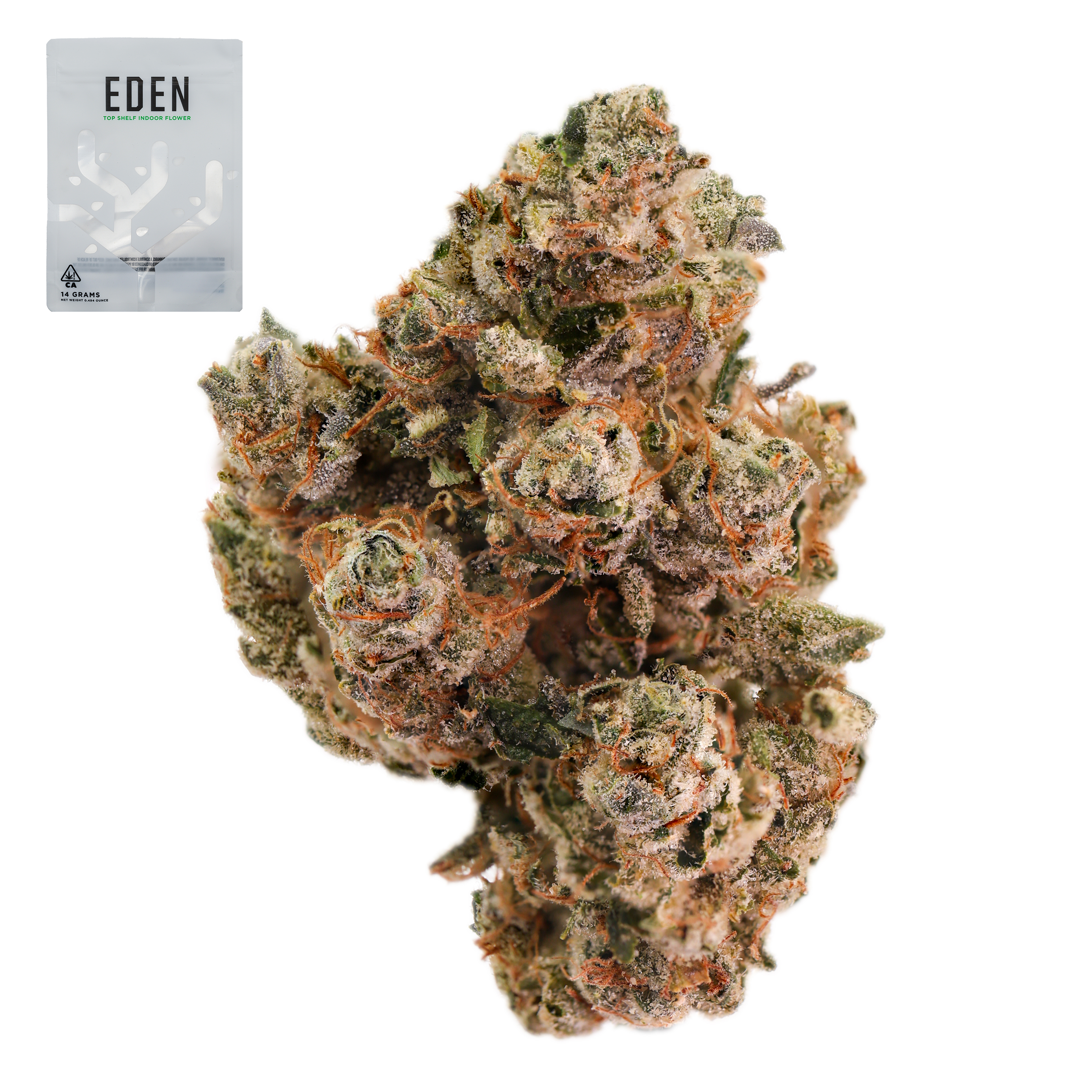 KING LOUIS XIII OG 14G