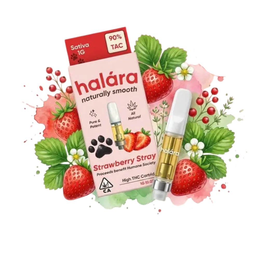 Strawberry Stray - High THC - 1 g