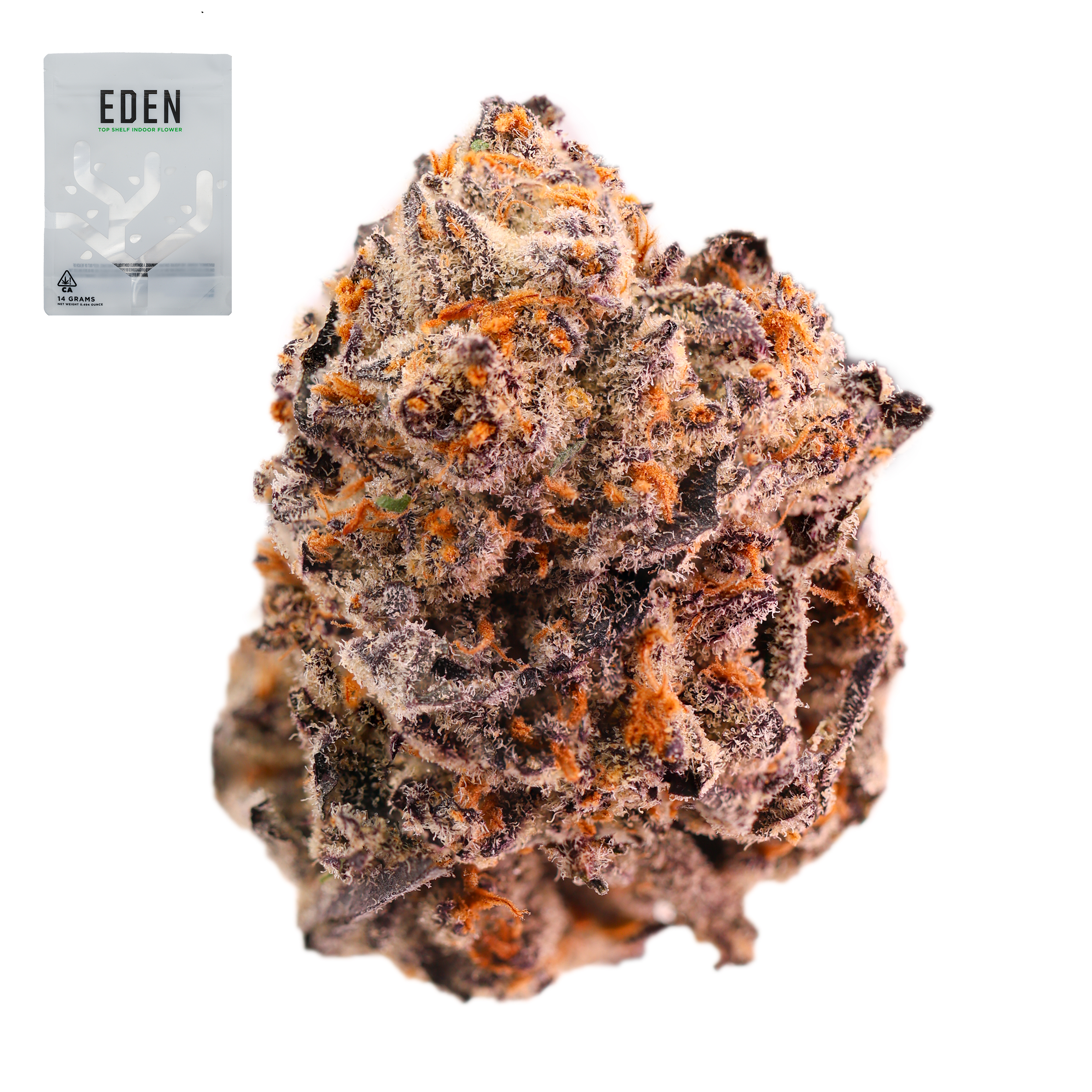 PURPLE DURBAN POISON 14G