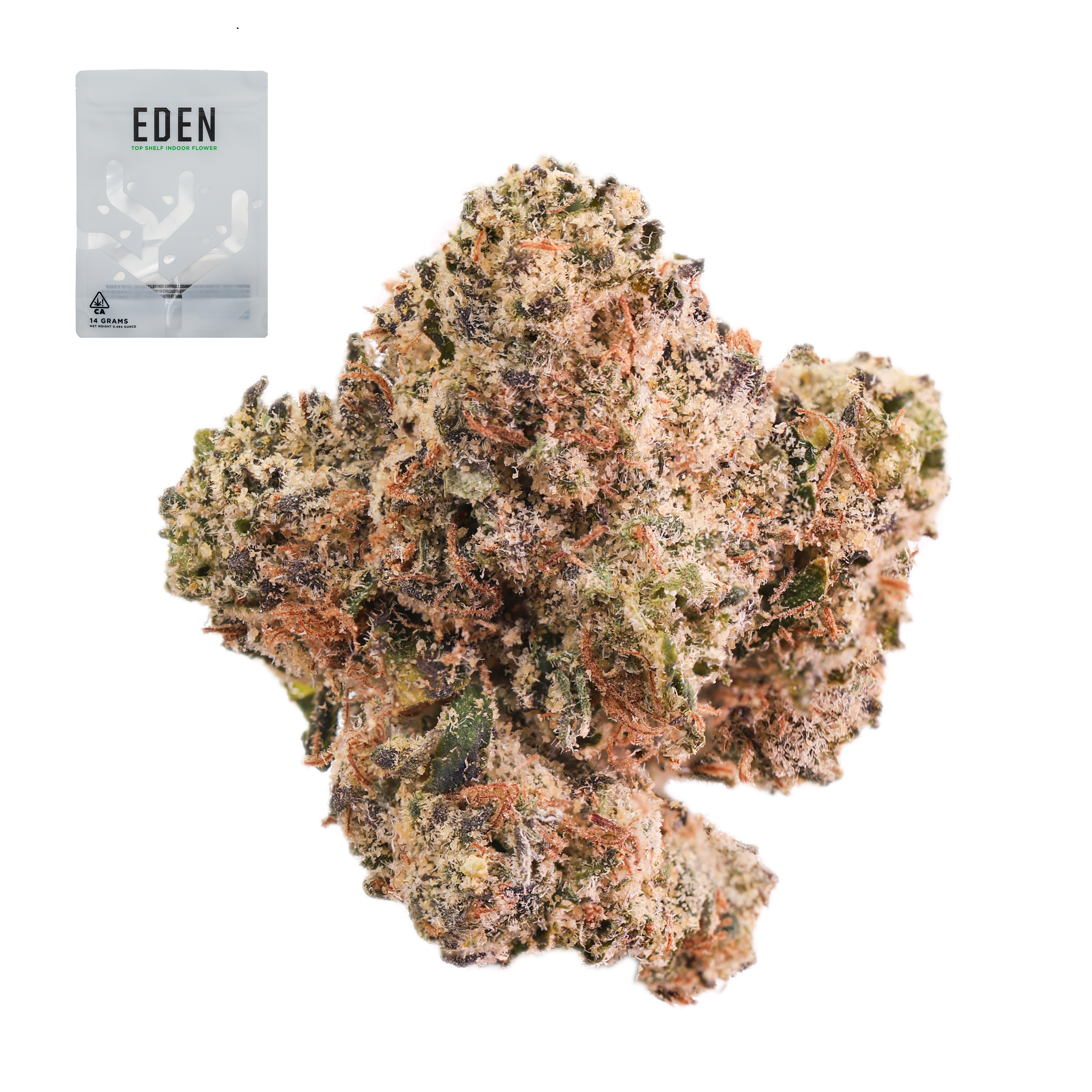ZAGYU 14G