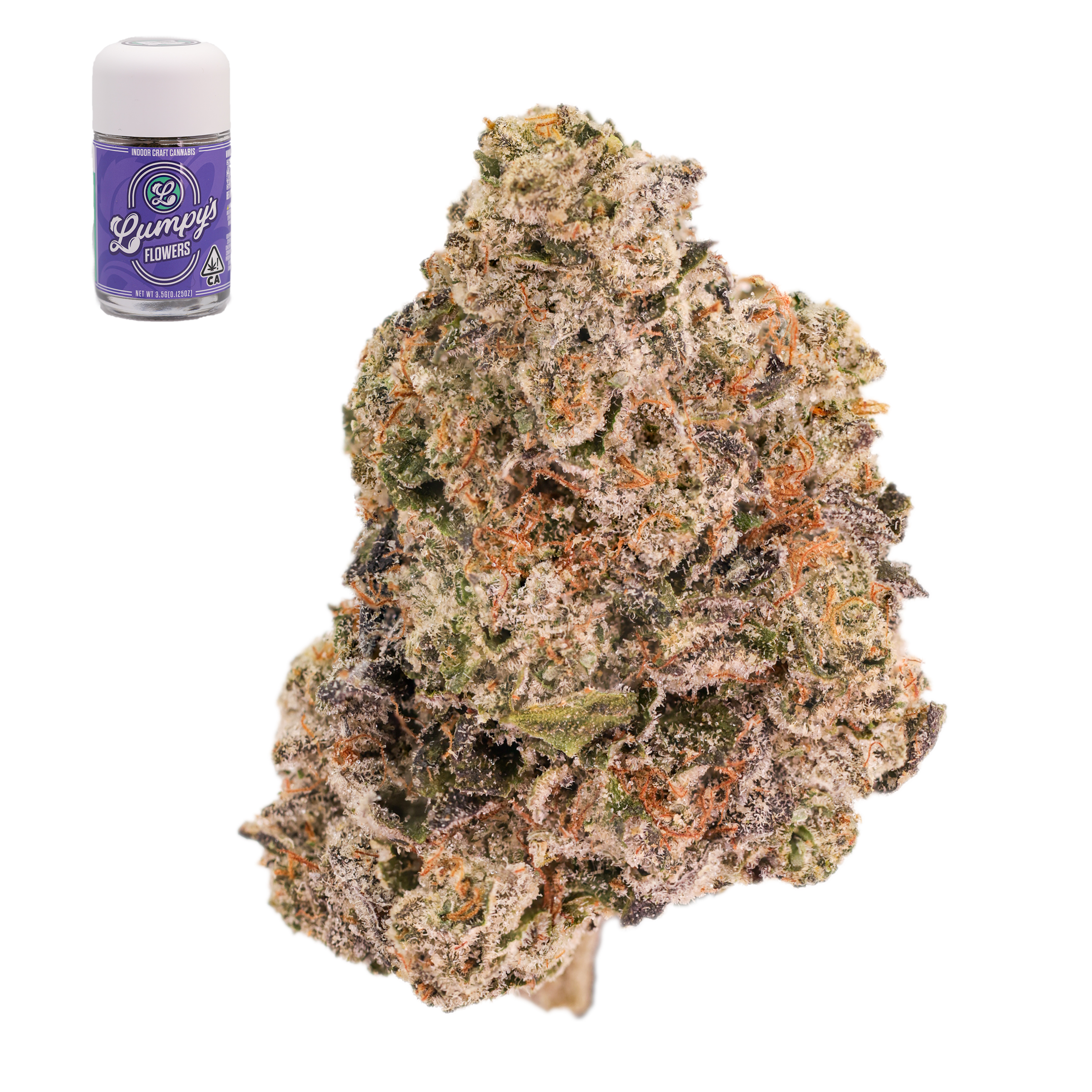 CHERRY JANE