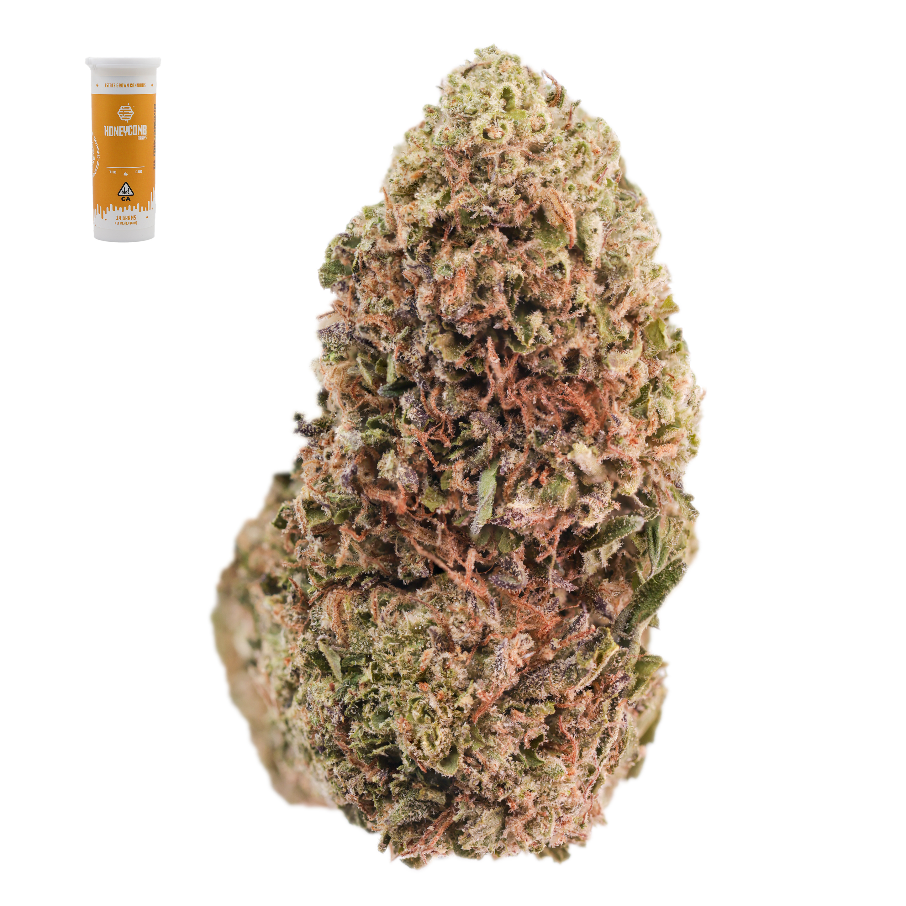 PINNACLE RUNTZ 14G