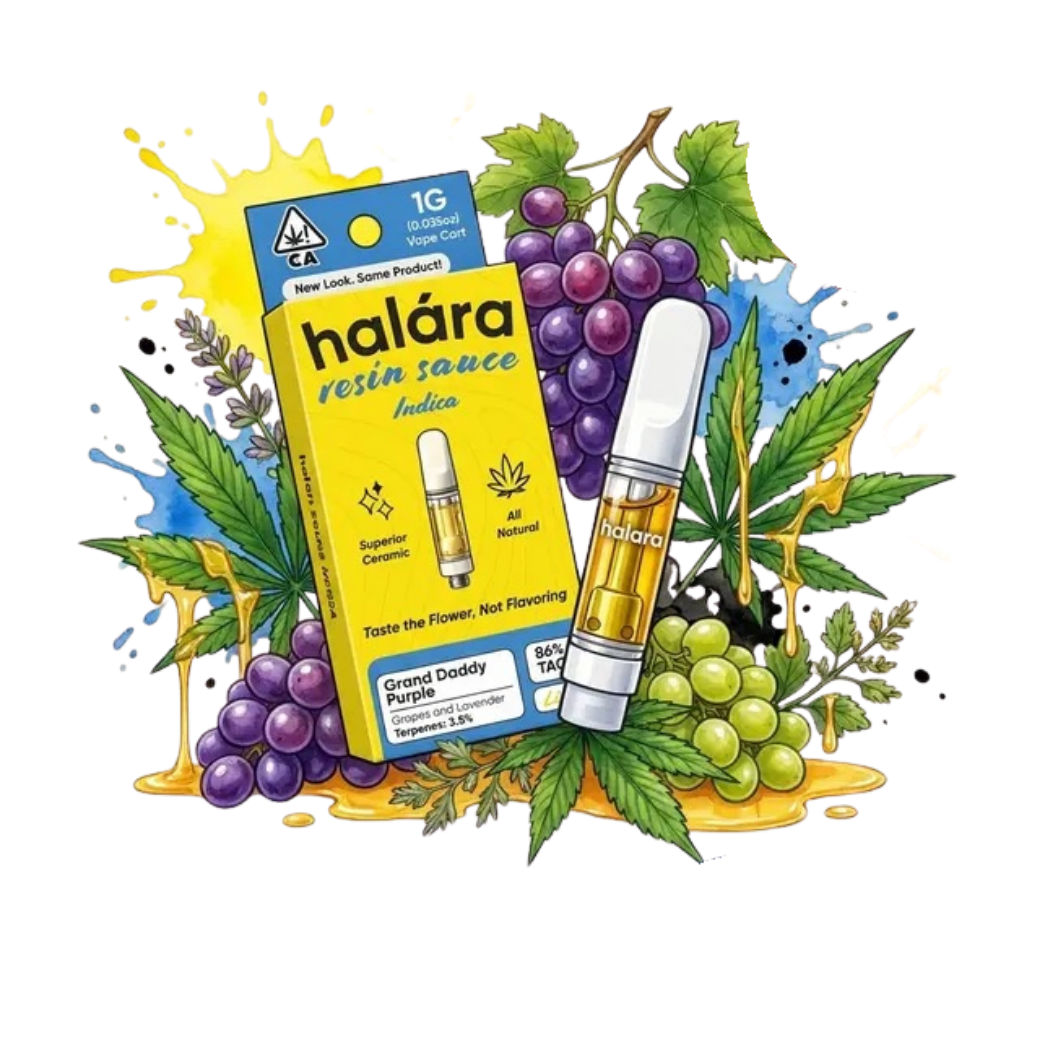 Grand Daddy Purple - Live Resin Sauce - 1 g