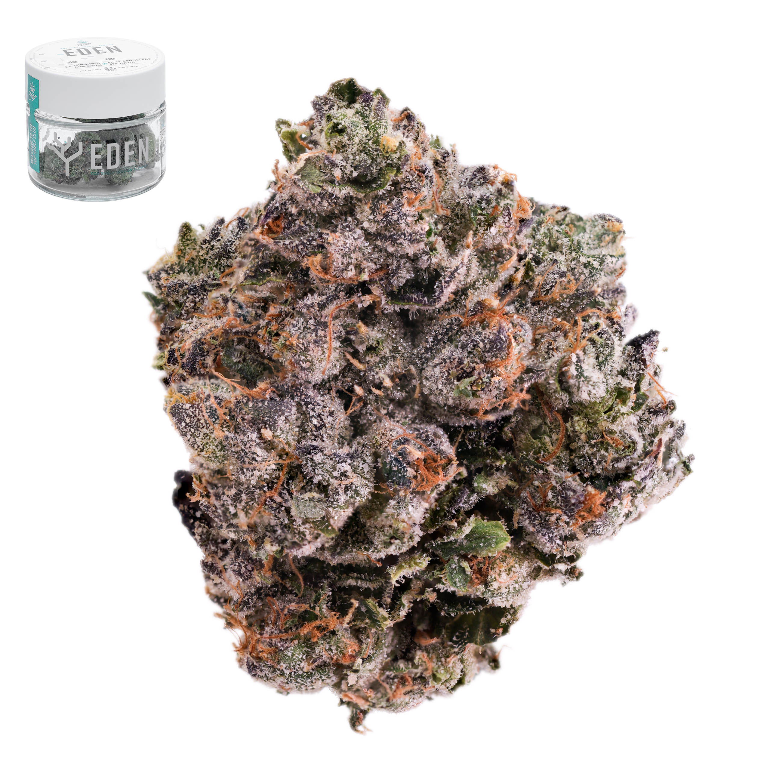 Eden - Frog Poison - 3.5 g Main Image