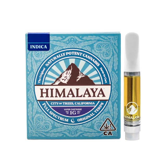 DONNY BURGER CURED RESIN 1G