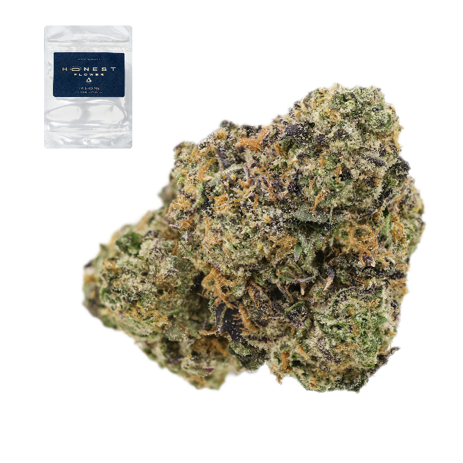 OBAMA RUNTZ 14G