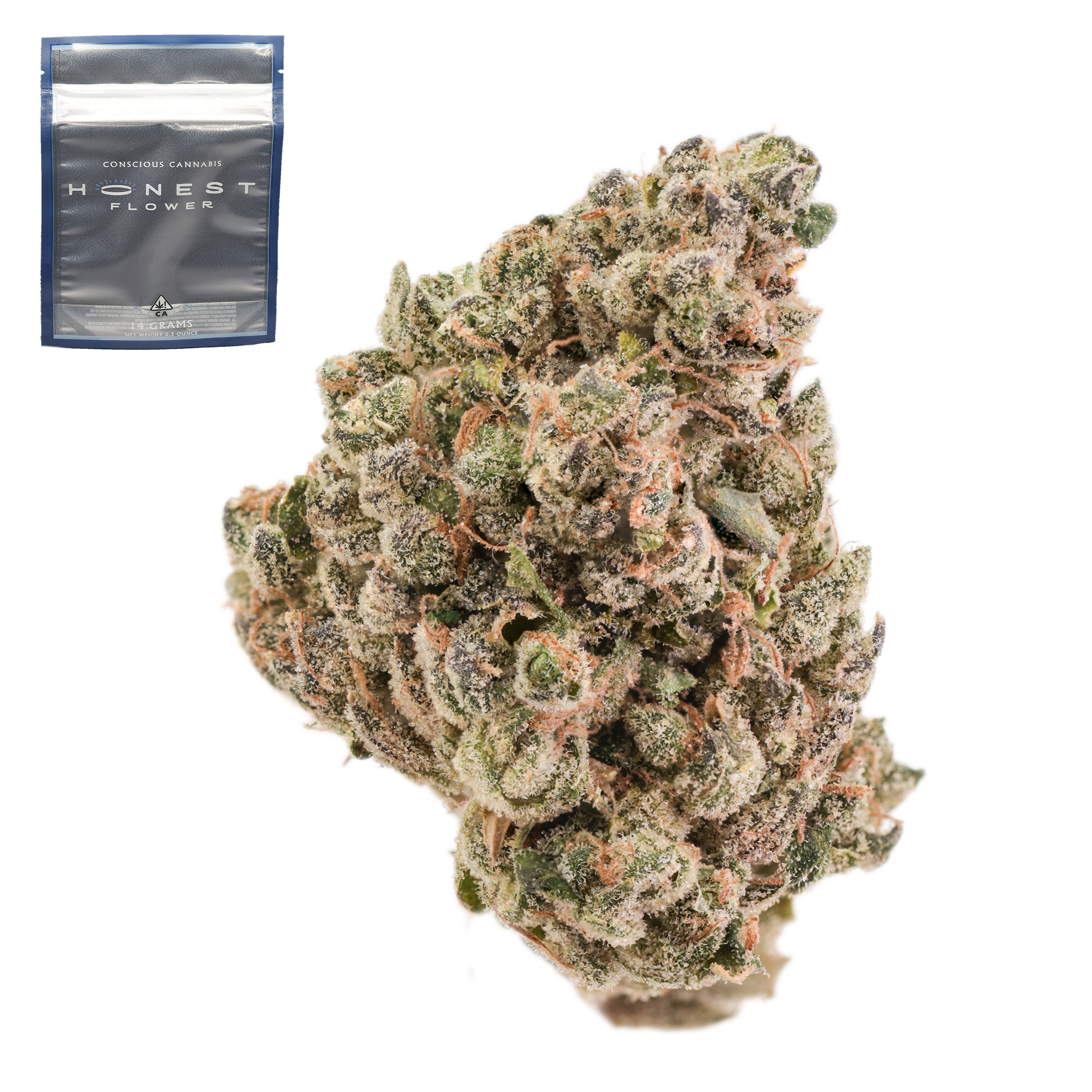 Honest flower - Indiana Headband - 14 g Main Image
