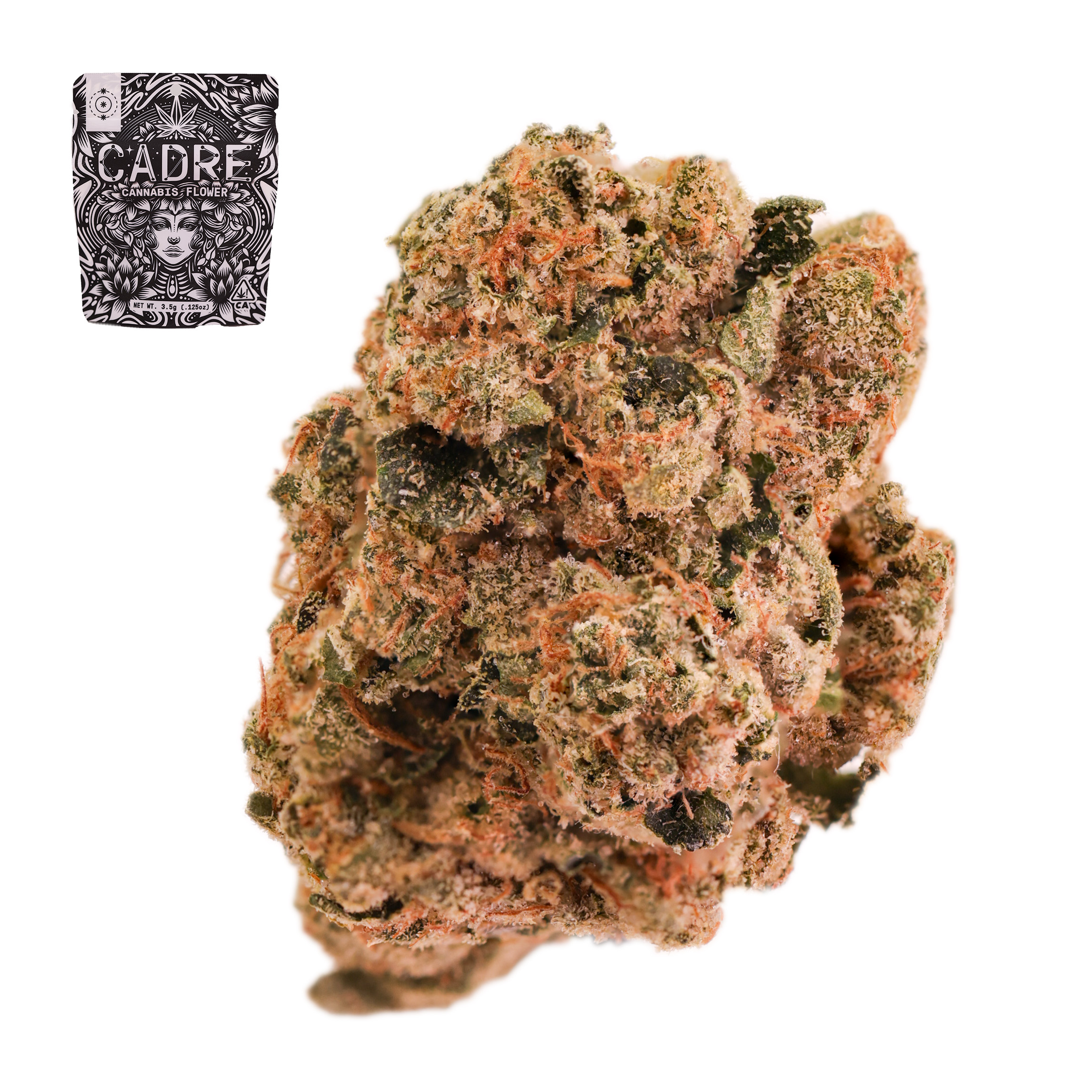 XXX OG