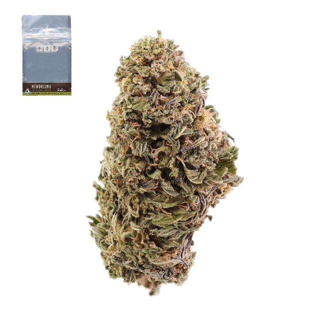 GRANDDADDY PURPLE