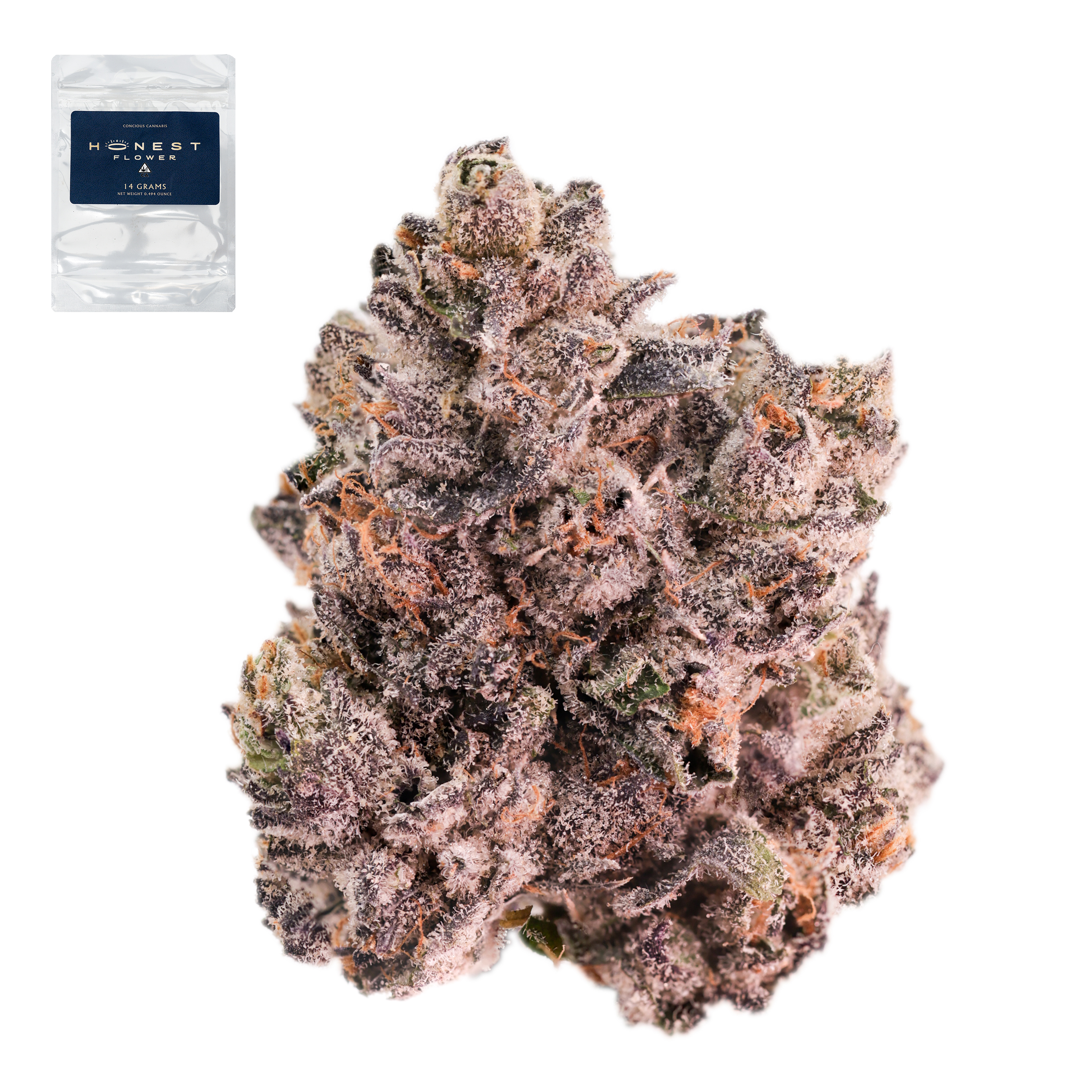 DONACHELLO 14G