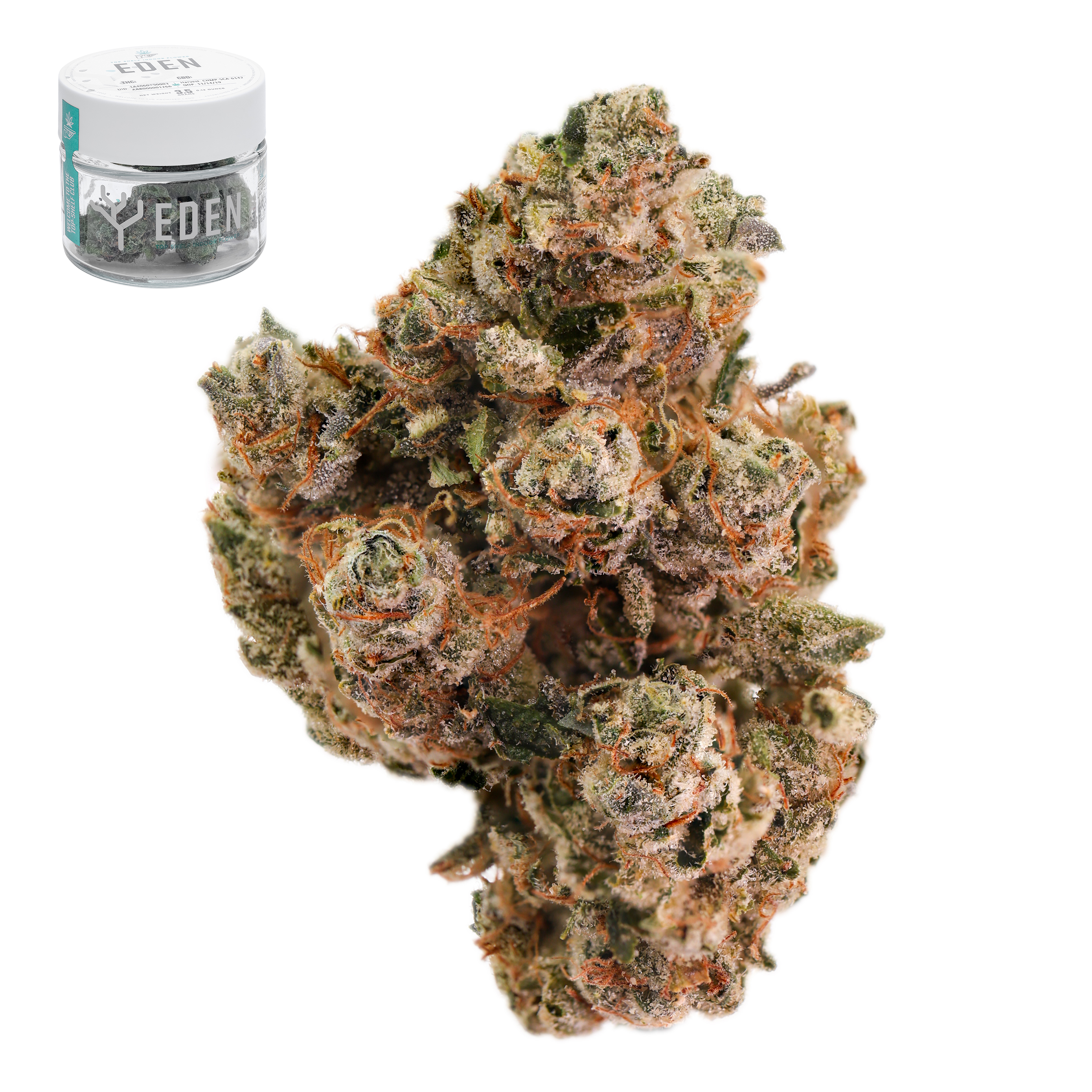 KING LOUIS XIII OG