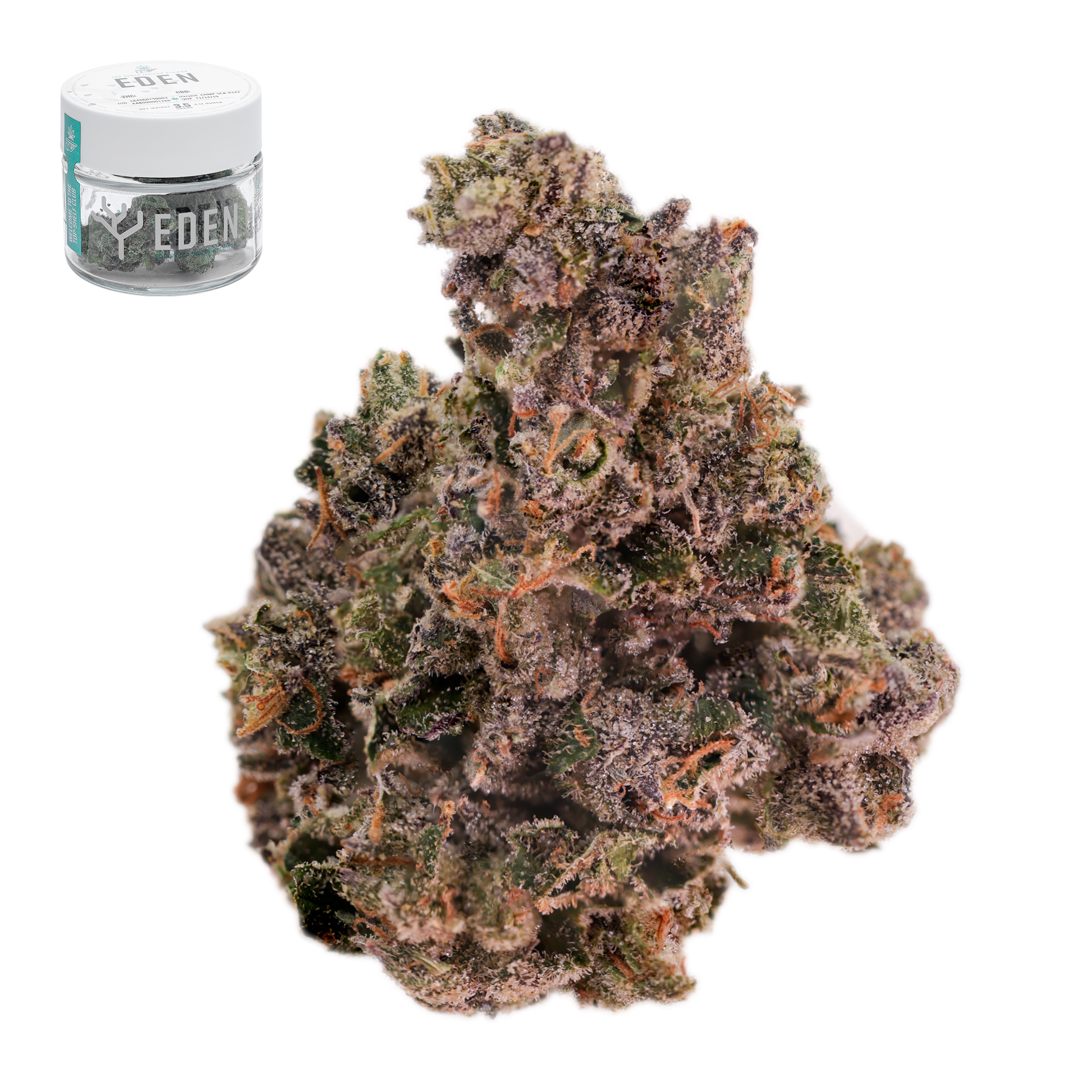 Purple Haze - 3.5 g