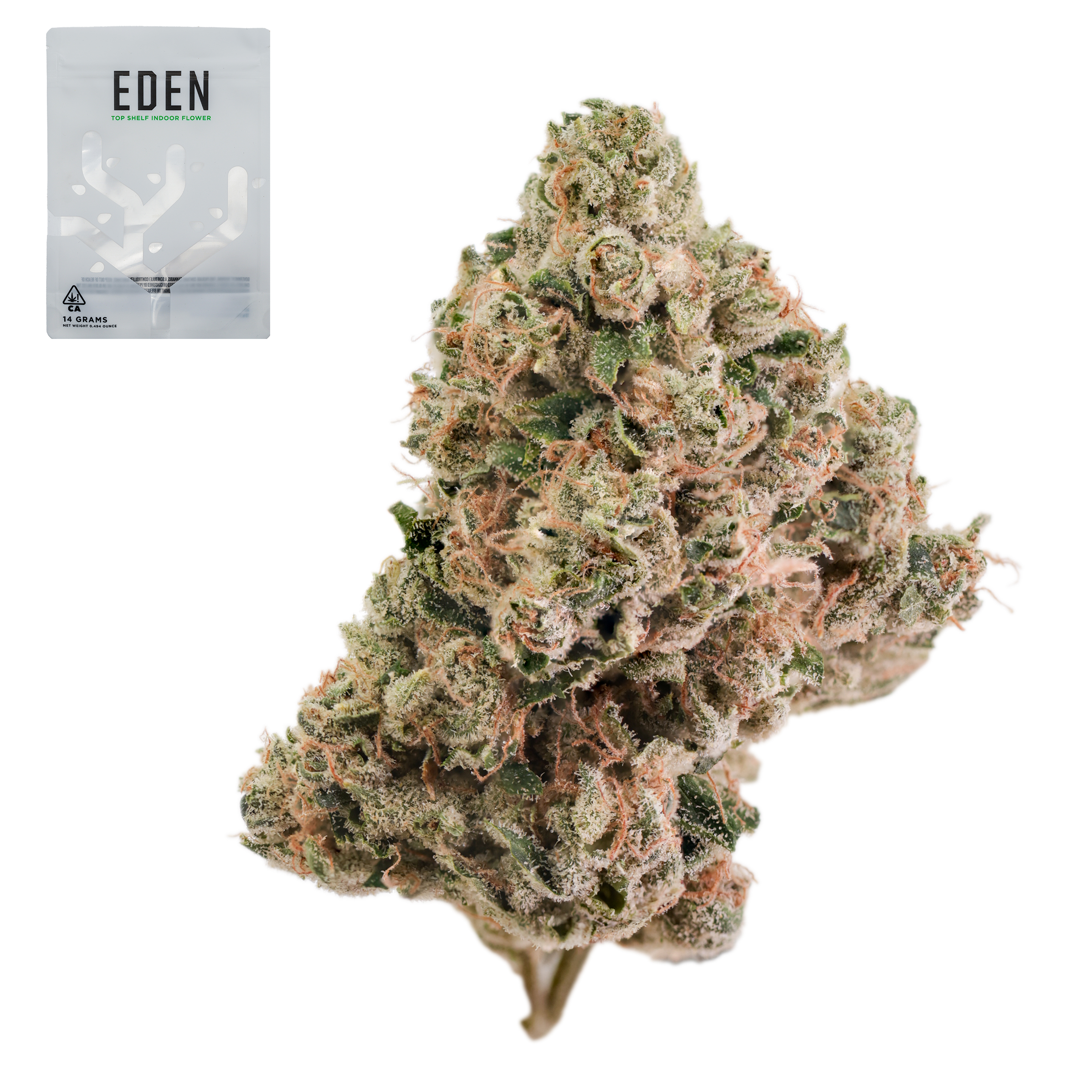 Eden - Pakastani Landrace x Blue Cheese - 14 g Main Image
