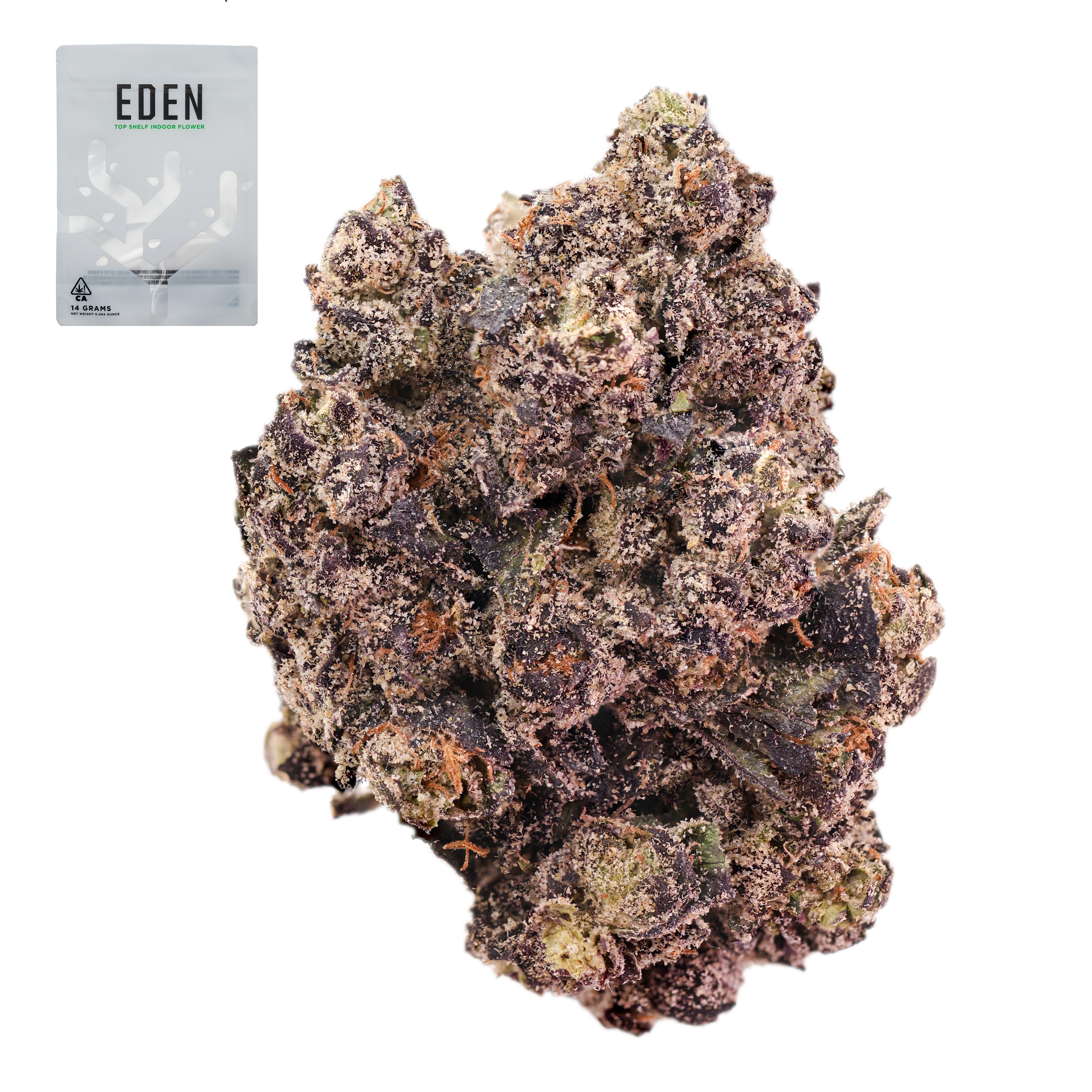 GOD'S GIFT PURPLE 14G