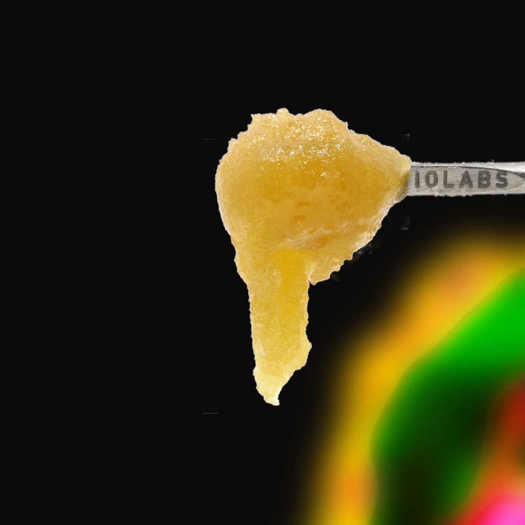 GAK SMOOVIE #5 - PERSY ROSIN SAUCE