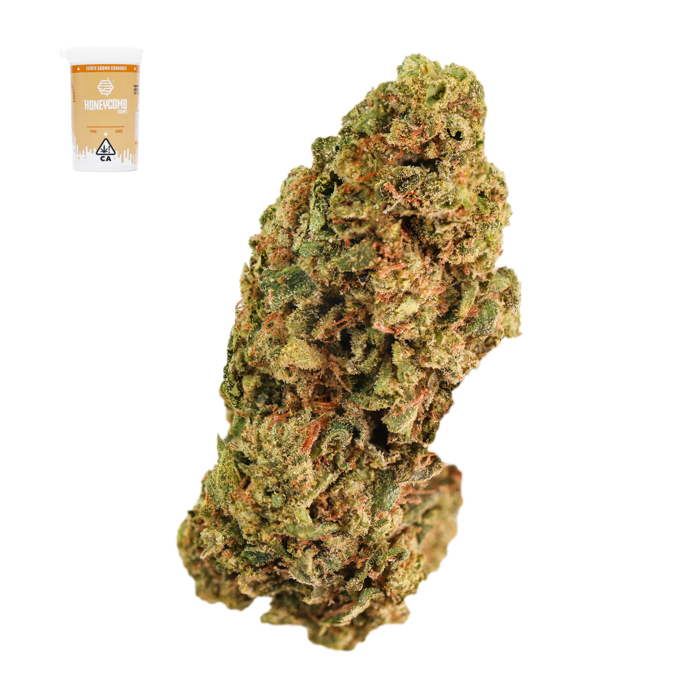 LEMON TREE X GELATO #41