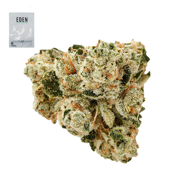 KING LOUIS XIII OG 14G