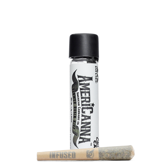 PURPLE MARTIAN 2-PACK