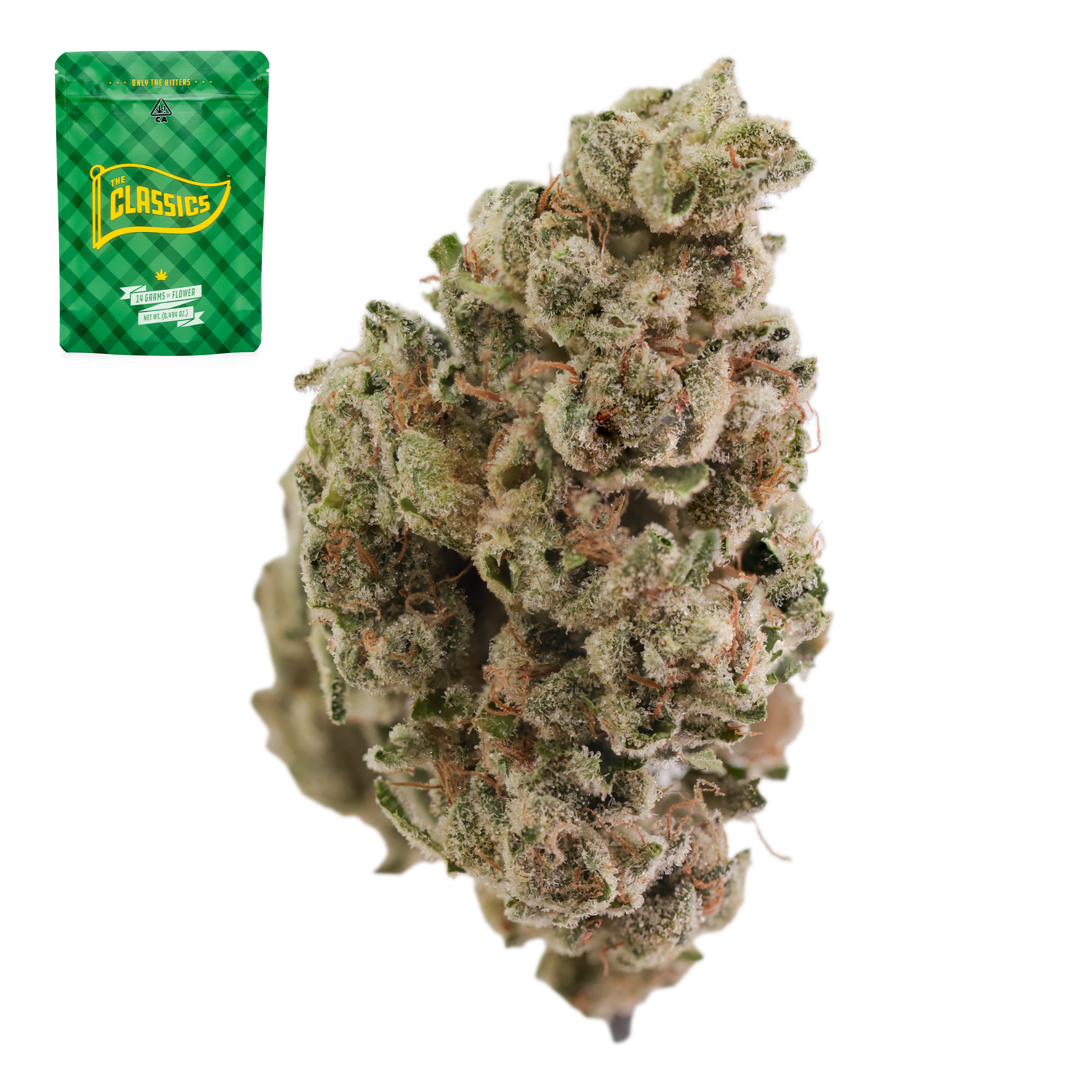 Poison OG x Planet Purple - 14 g