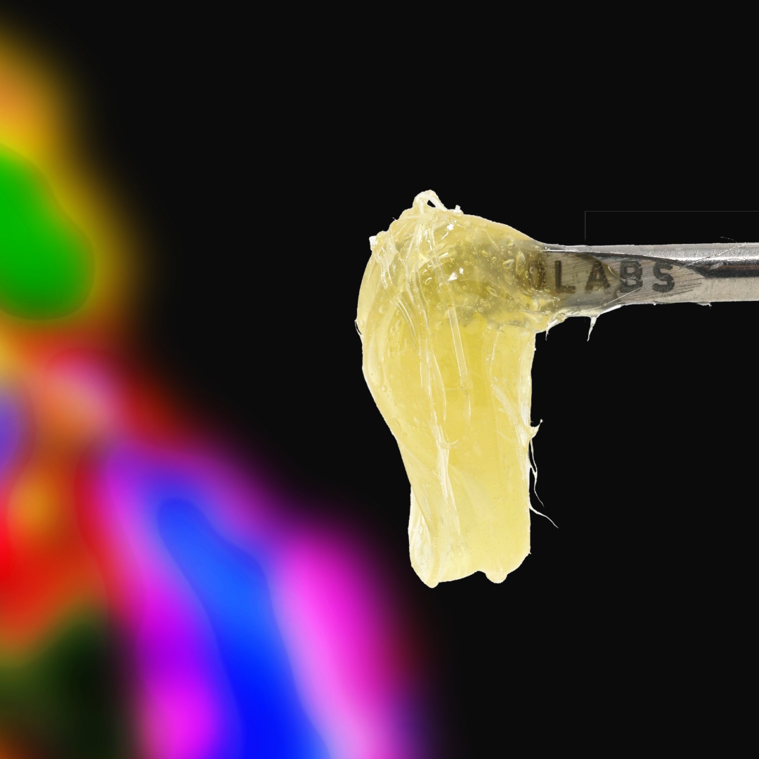 FAUX FAUNA F2 #5 - PERSY ROSIN