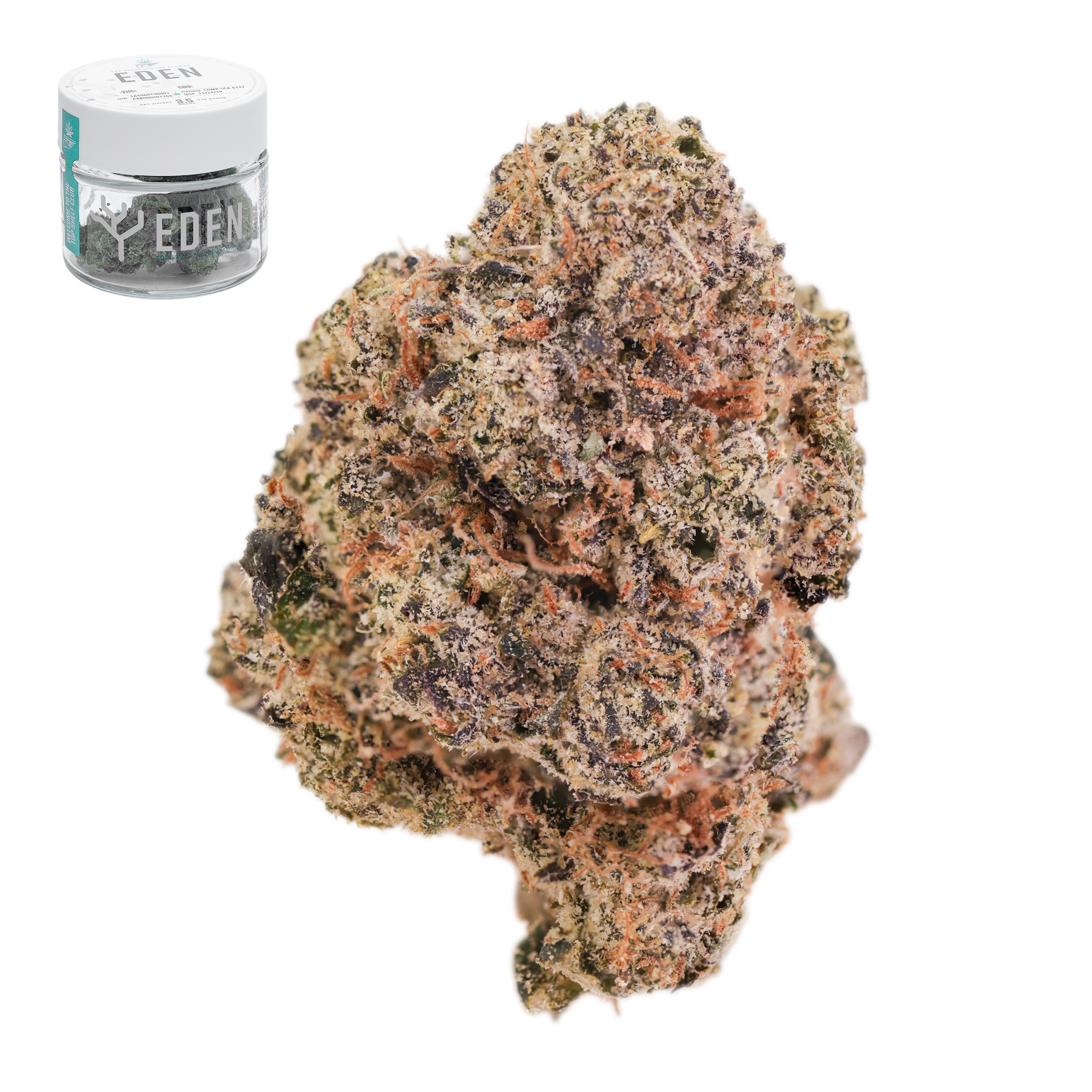 Eden - Jelly Slapz - 3.5 g Main Image