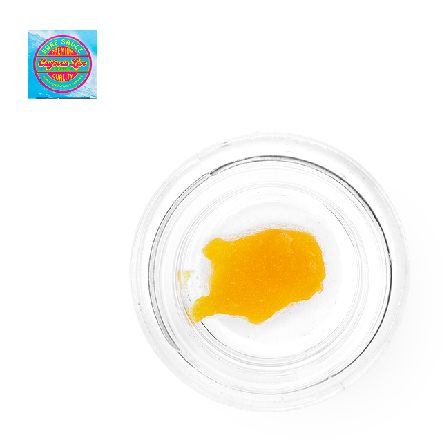 GELATO 41 - SURF SAUCE