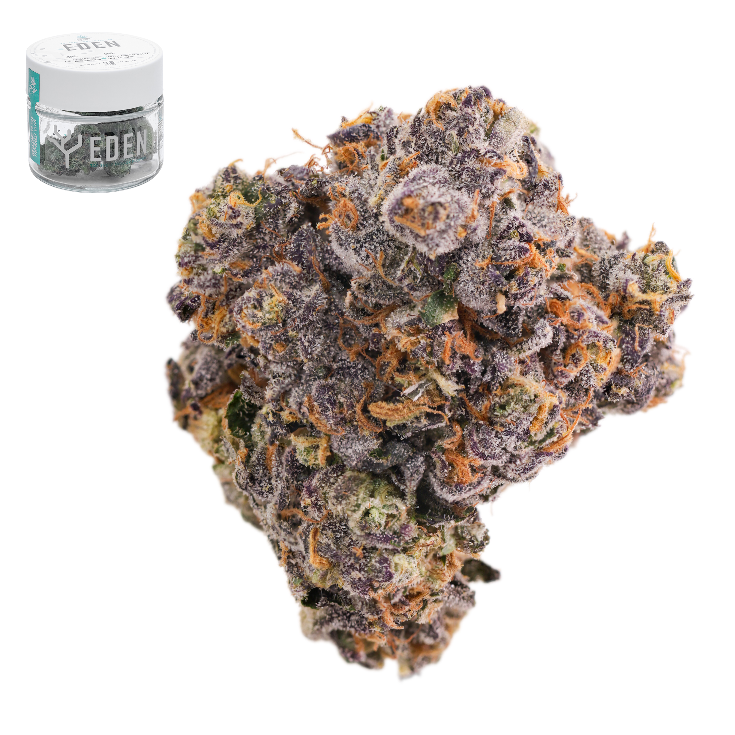 Eden - Gelato 41 x Permanent Marker - 3.5 g Main Image