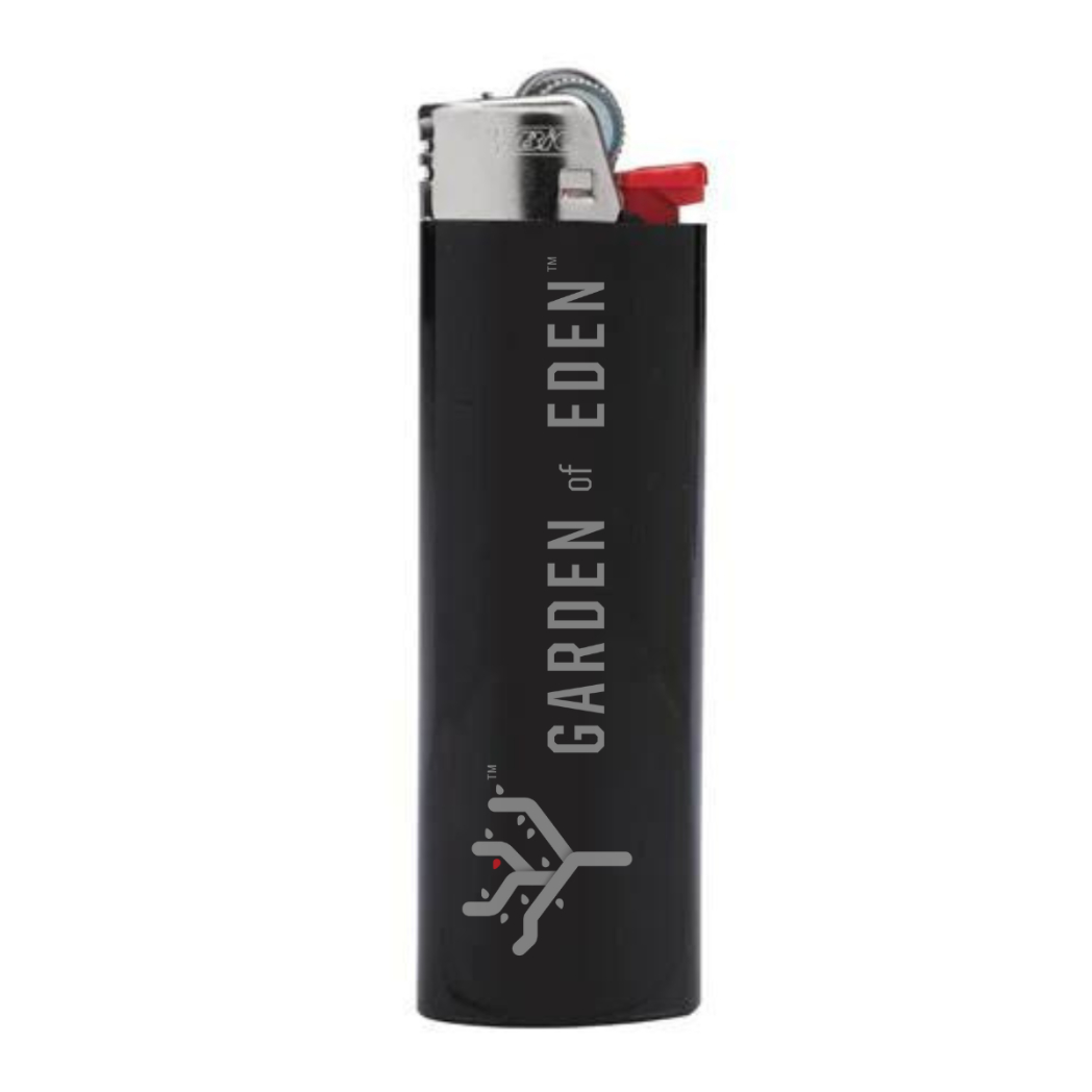 GOE BIC LIGHTER