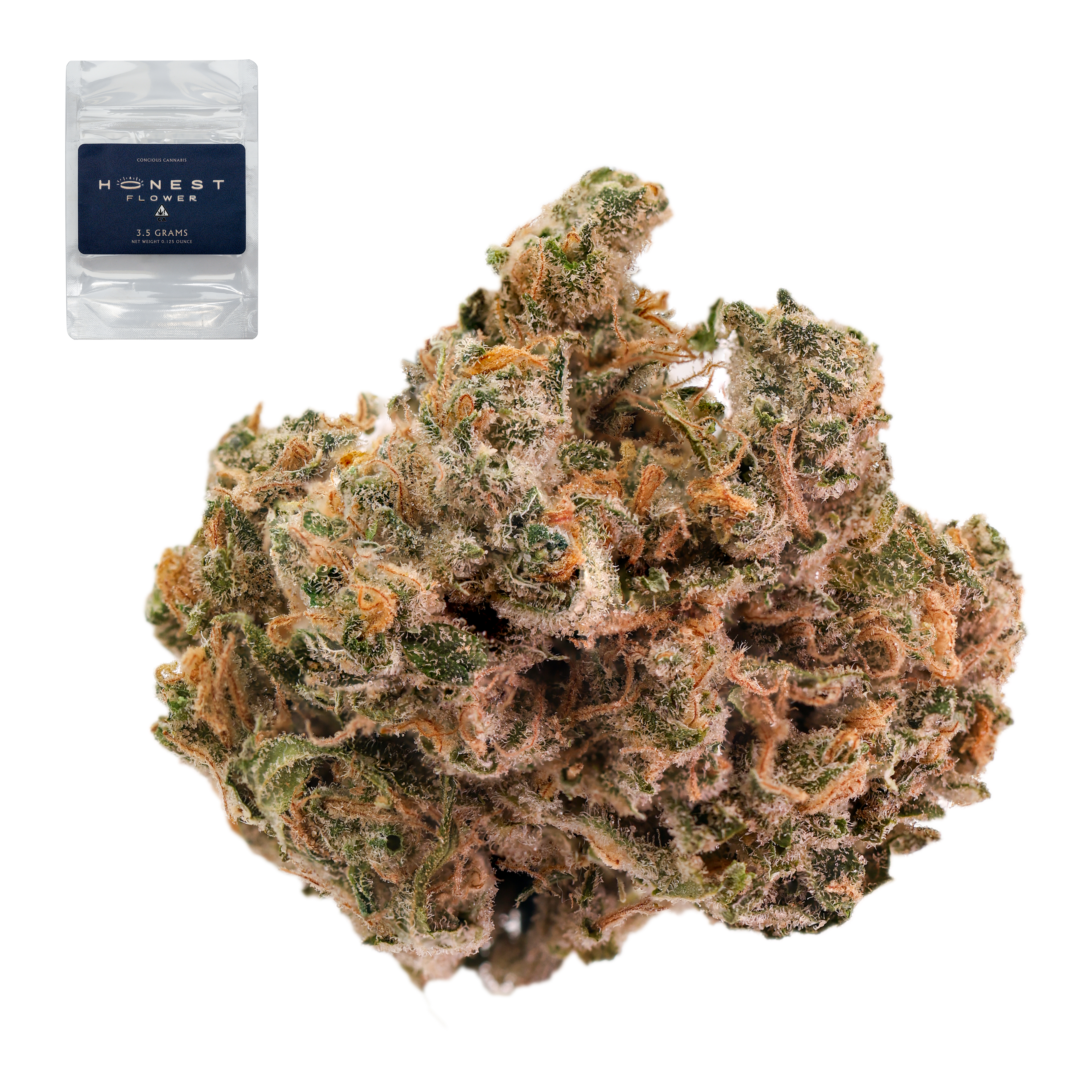 DURBAN 99