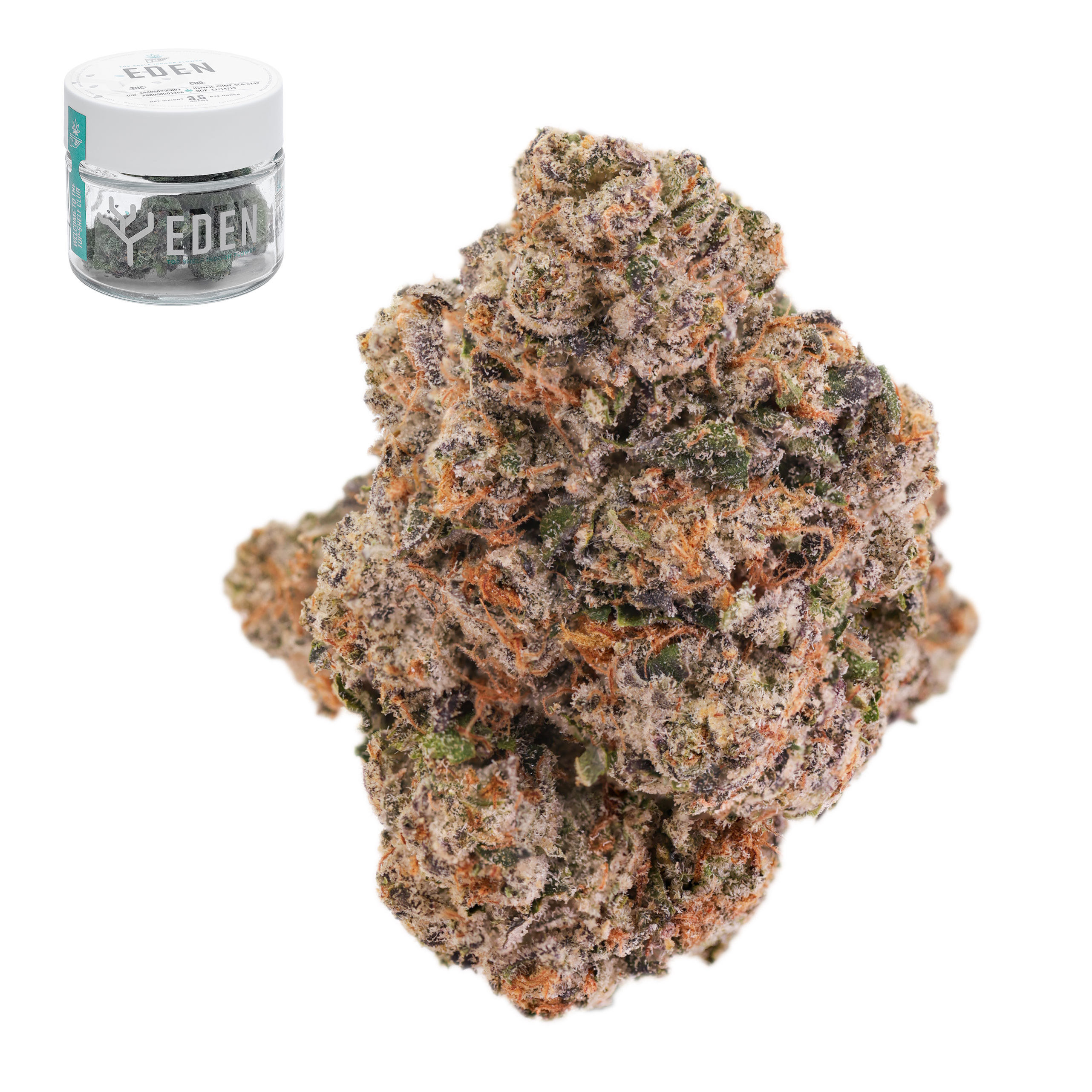 Eden - Georgia Pie x Zkittlez - 3.5 g Main Image