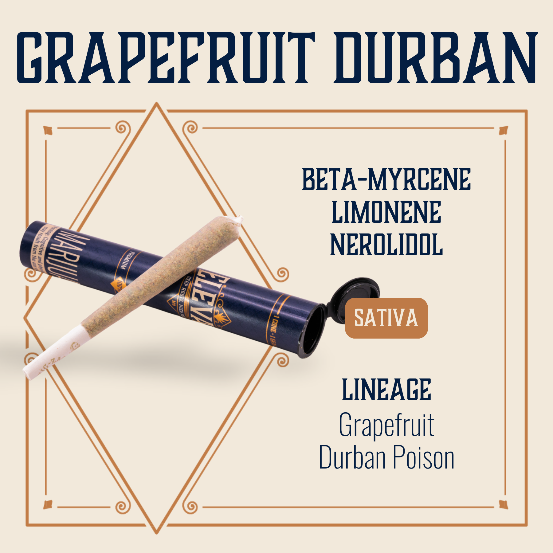 Elevate | Grapefruit Durban Pre-Roll | 1g