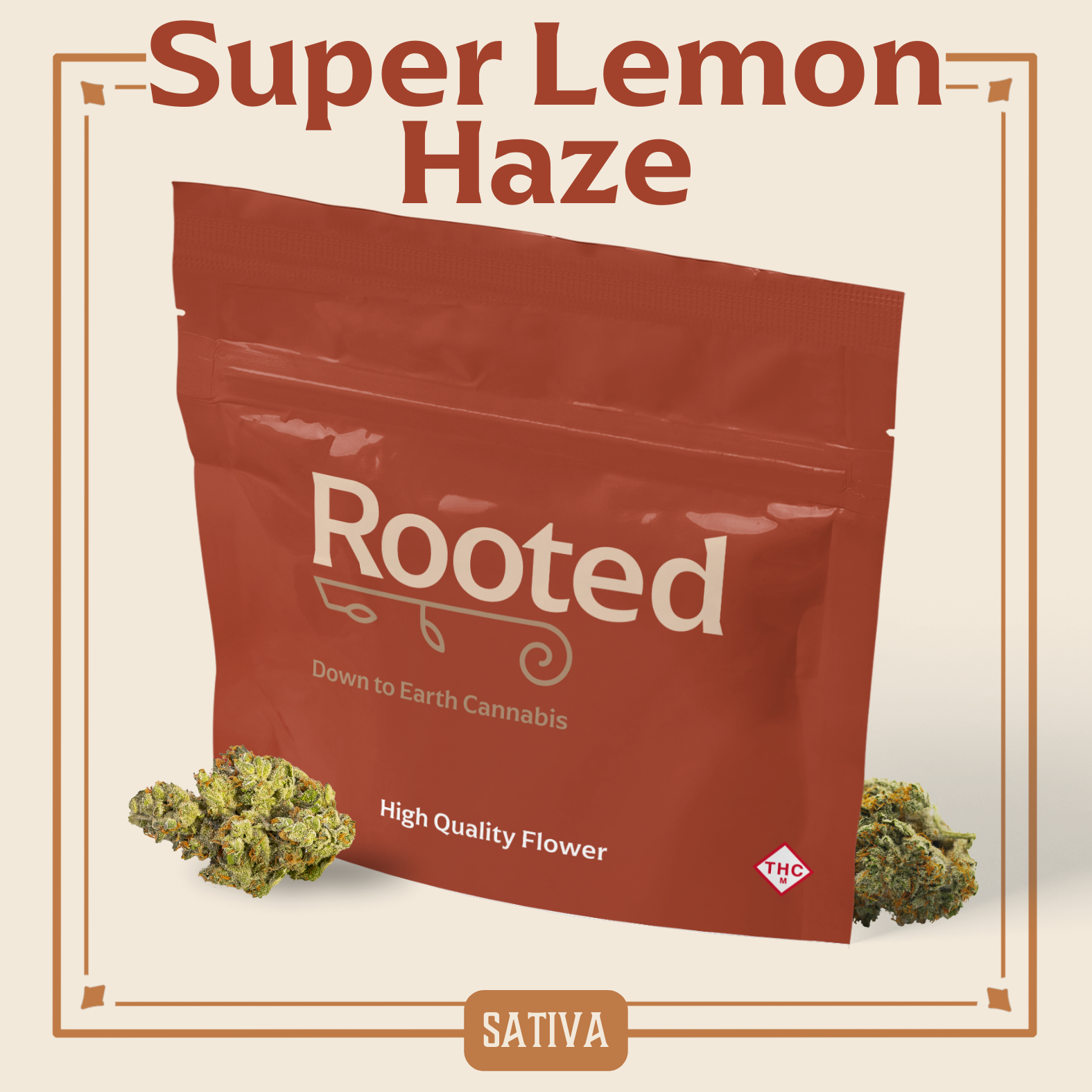 Rooted | Super Lemon Haze | 14g