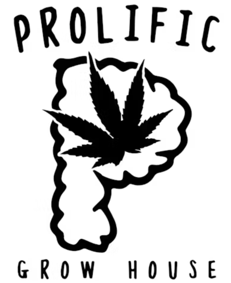 Prolific | Insomnia Cookies Pre-Roll | 1g 