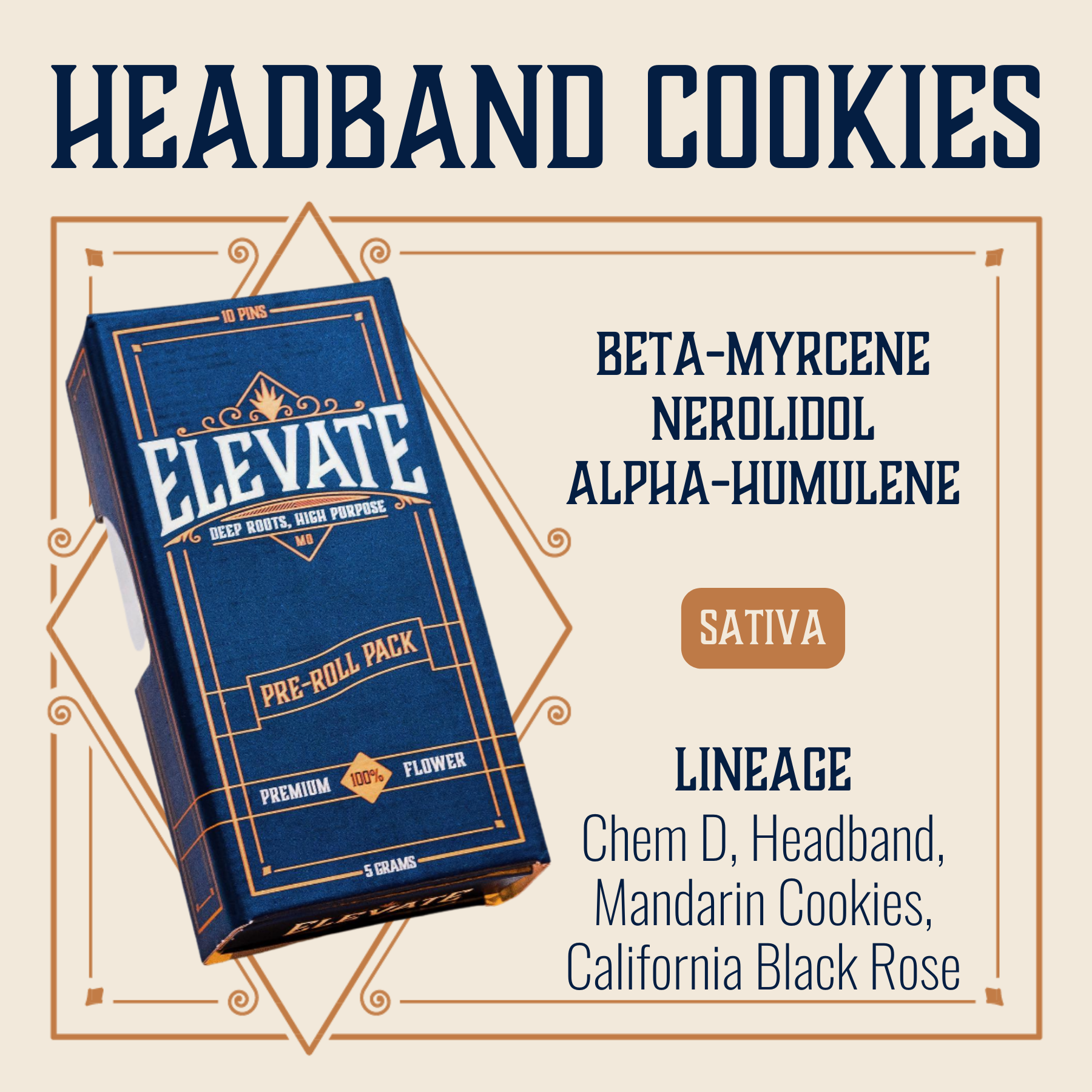 Elevate | Headband Cookies Pre-Roll 10pk | 5g