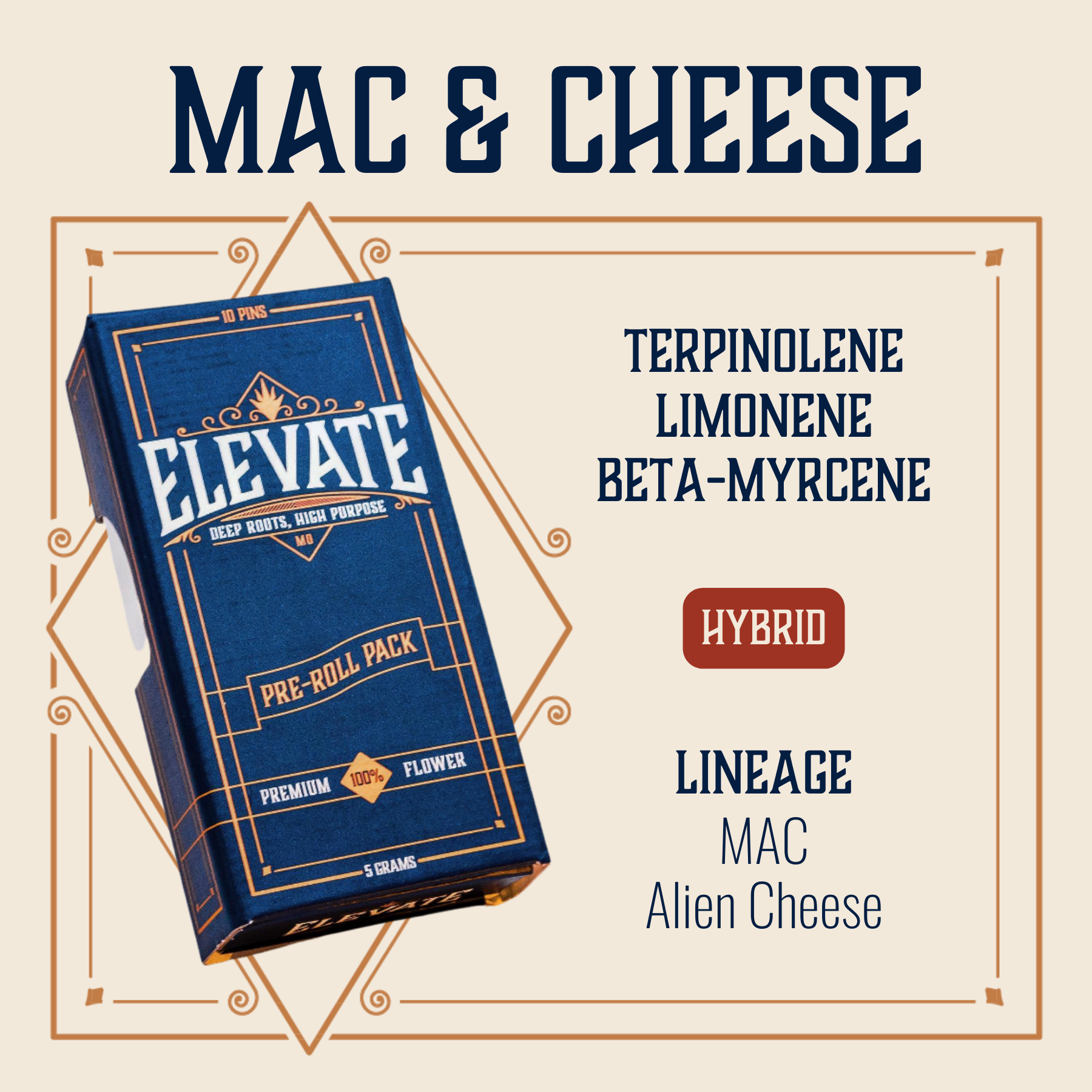 Elevate | Mac & Cheese Pre-Roll 10pk | 5g