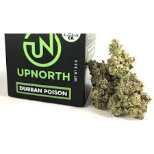 Durban Poison