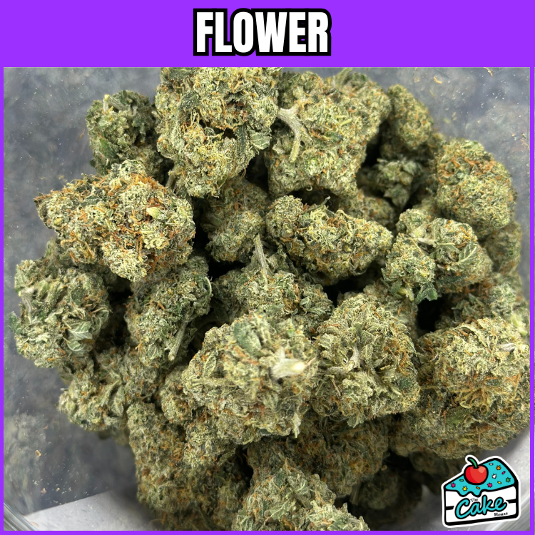 DR JC EXOTICS - EASTSIDE GMO