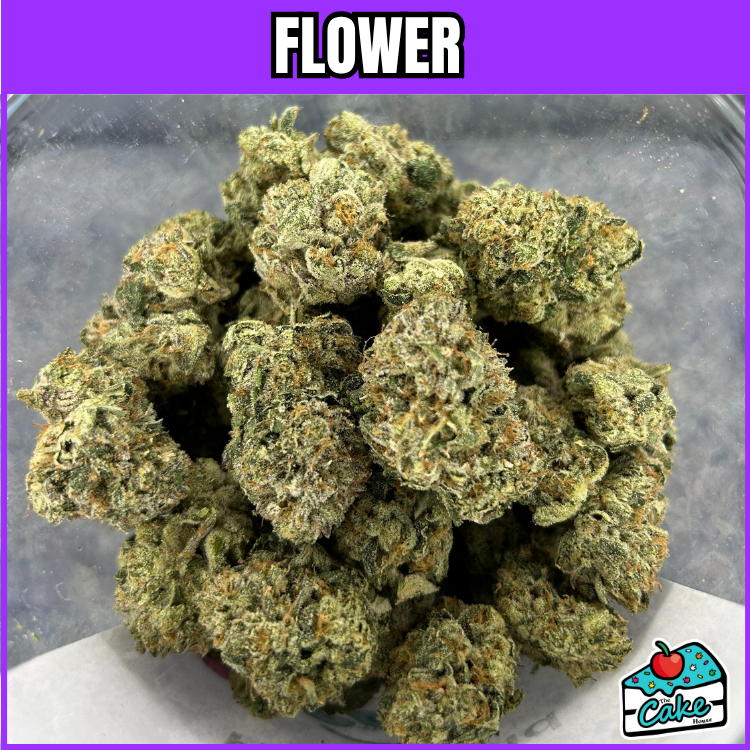 FRESHY FINE - Z HEADBAND