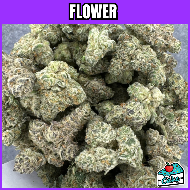 CREME CULTIVATION- ANIMAL COOKIES